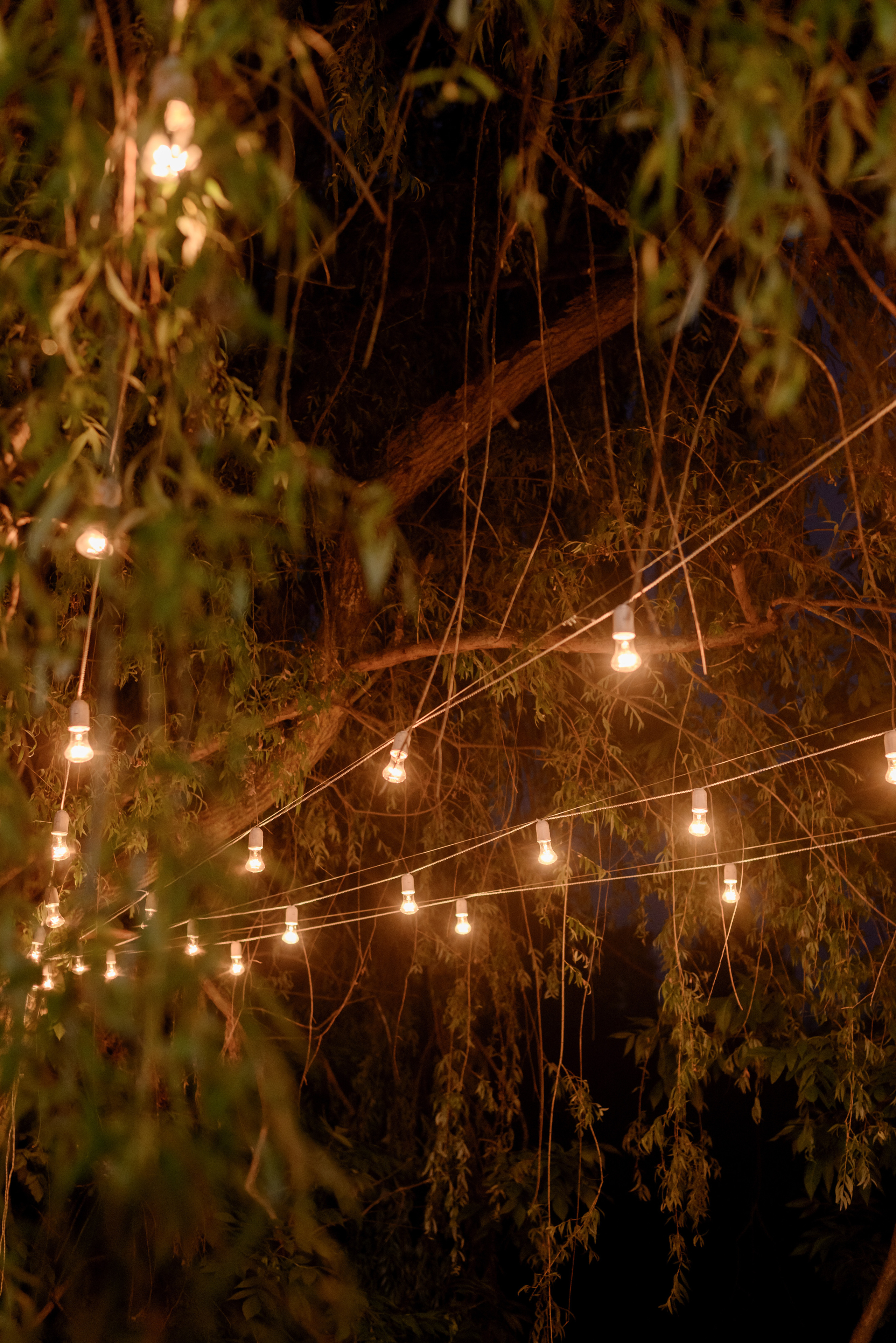 Be my little Rock'n'Roll queen. Backpackweddings фотограф и видеограф Ростов-на-Дону Сочи