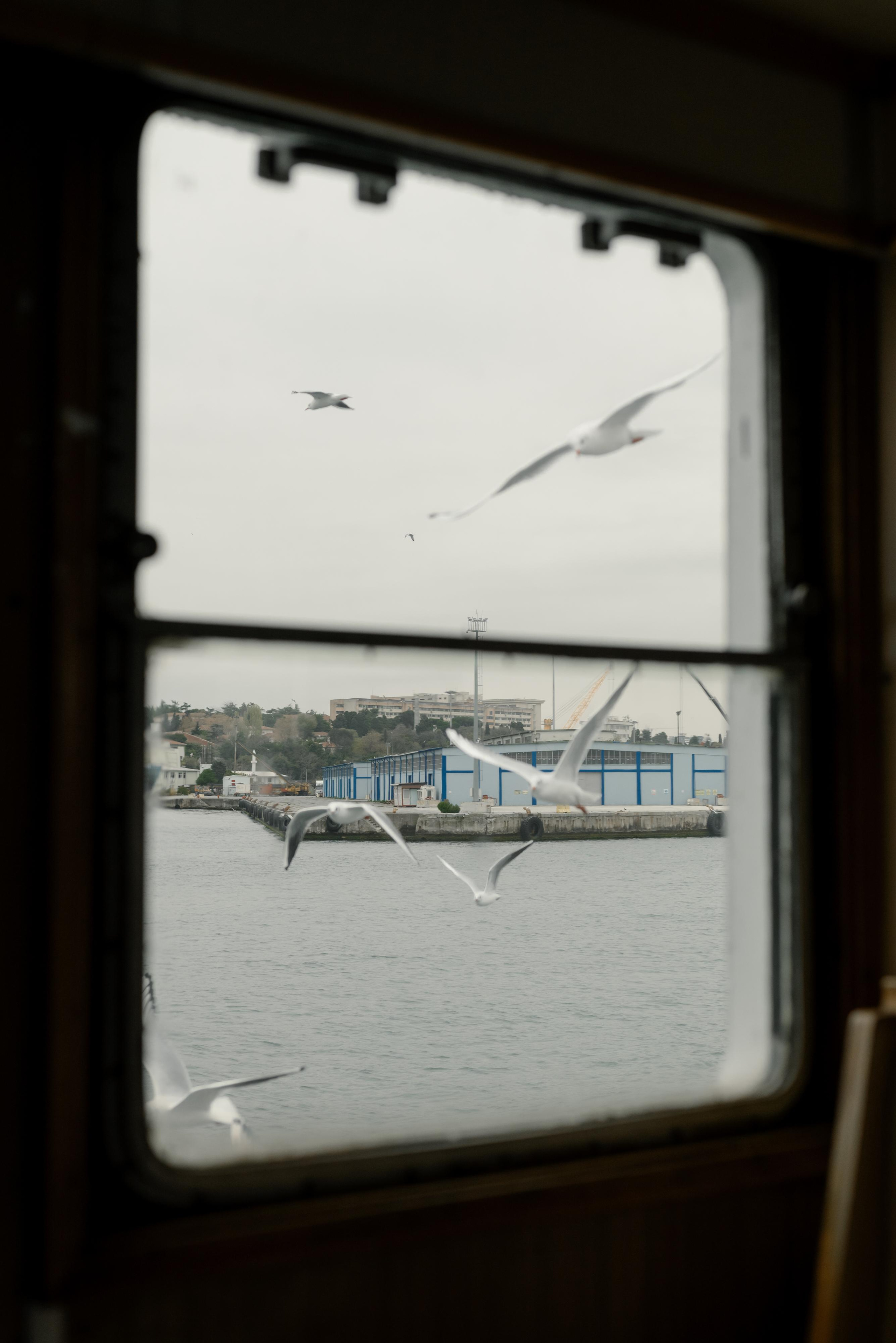 Андрей + Аня Стамбул. Backpackweddings фотограф и видеограф Ростов-на-Дону Сочи