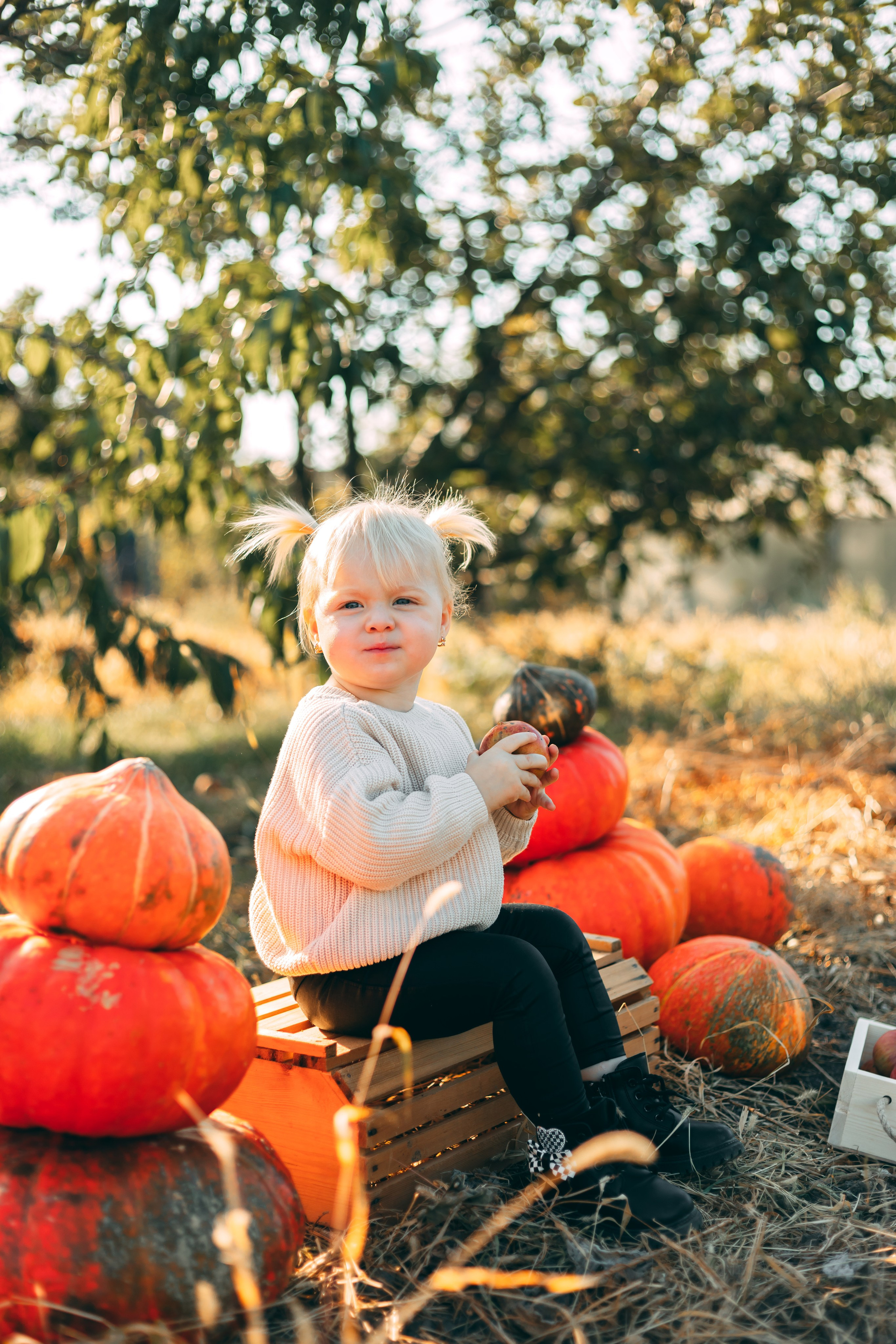 Детская фотосессия в тыквах. Свадебный и семейный фотограф в Краснодарском крае Мария Данилкина