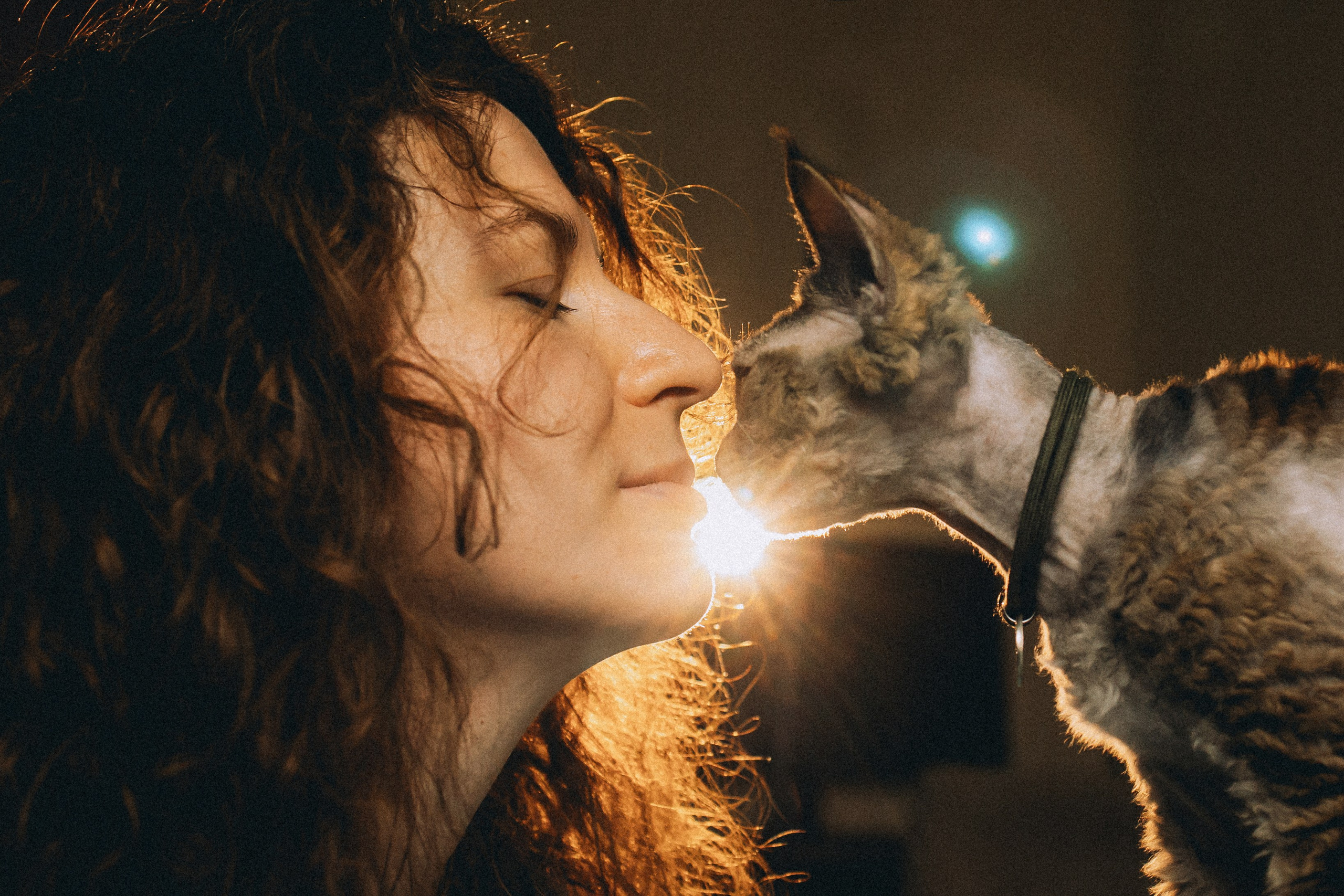 Гречка, Ковш и их семья