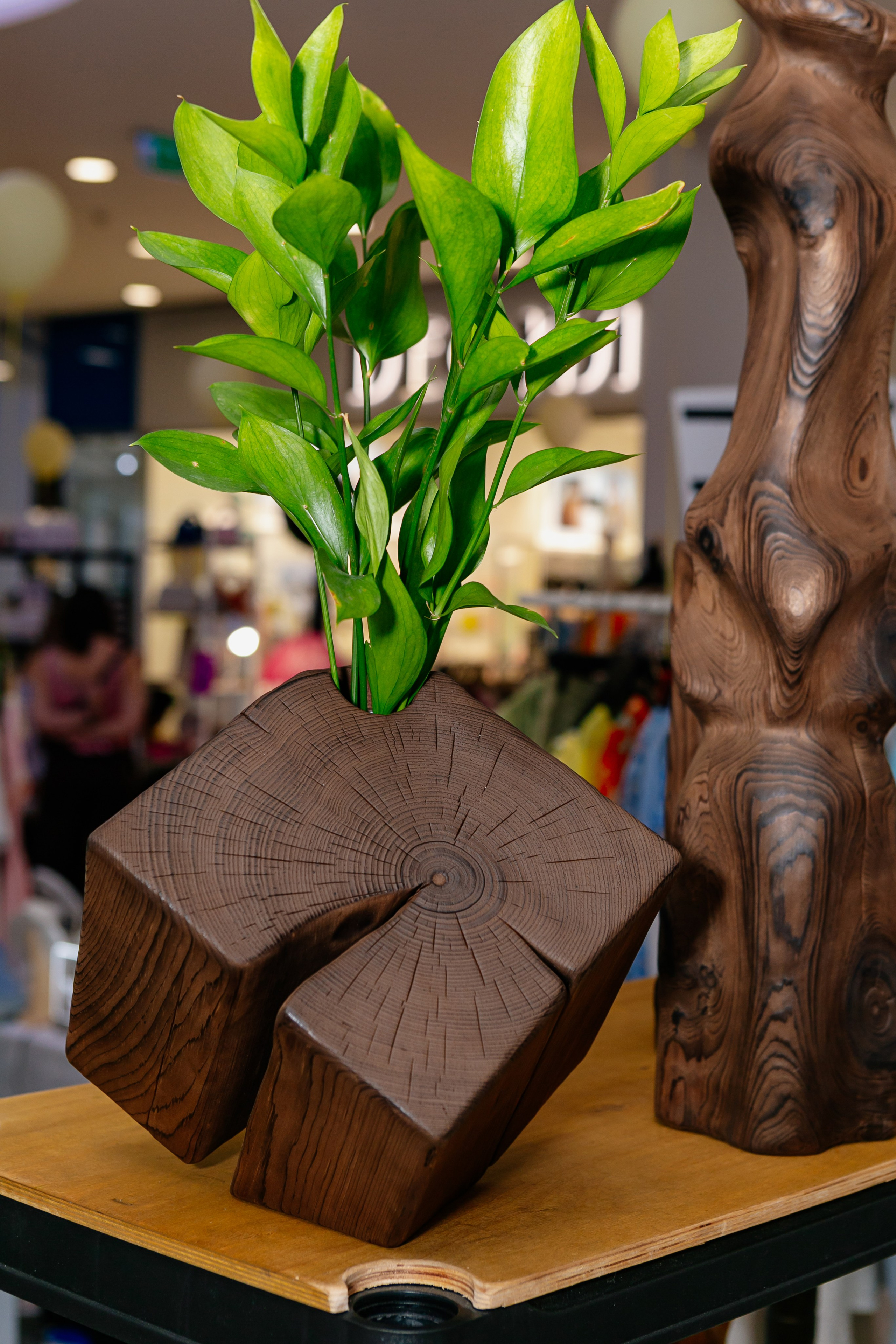 Мимимаркет. Контент фотограф, съемка для маркетплейсов, фуд съемка и репортажи в Новосибирске Ралия Галеева