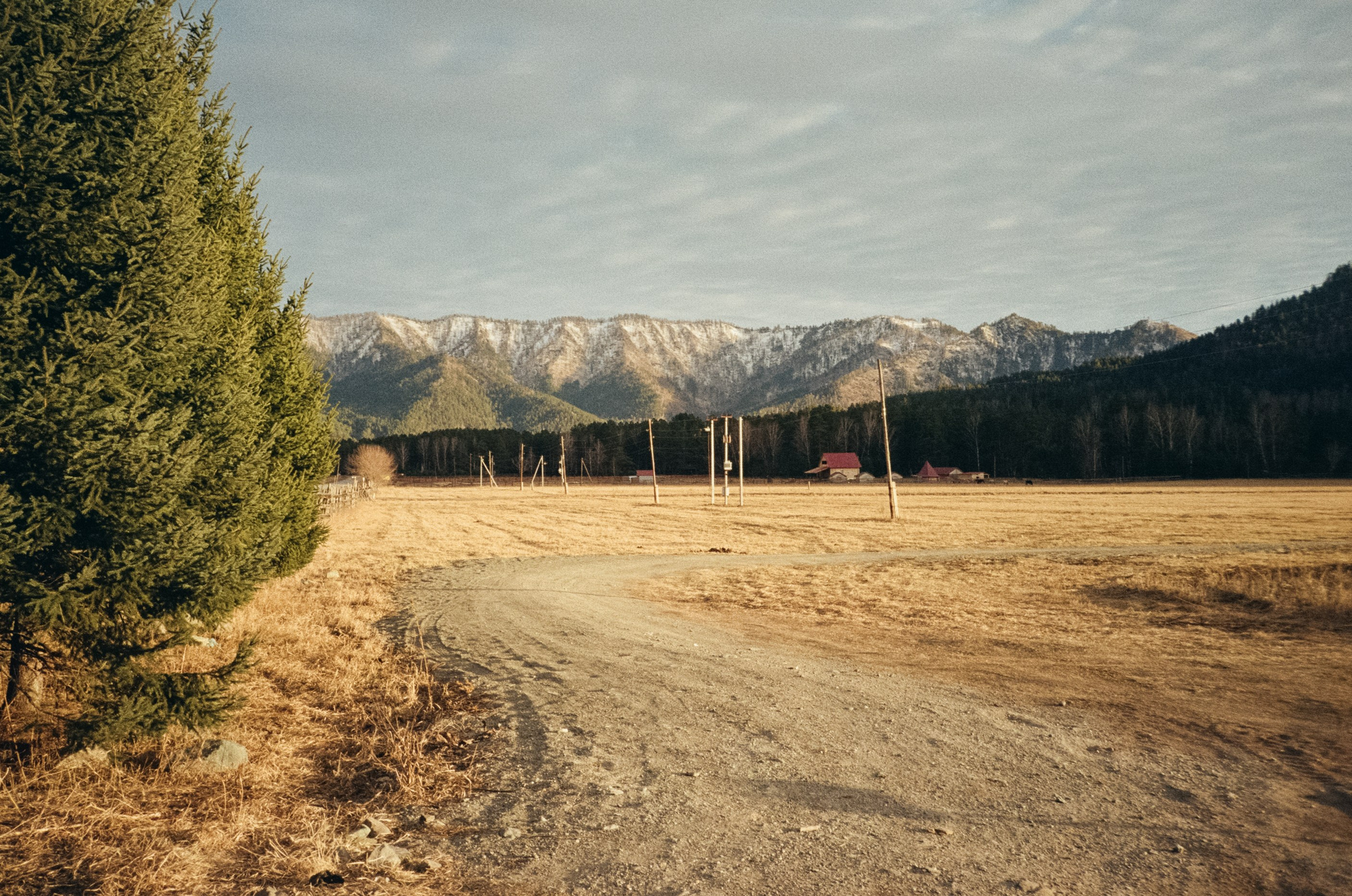 От Кызыл-Таша до Чемала. Техас, горы, поля и коровы. Фотограф-документалист Мария Осокина