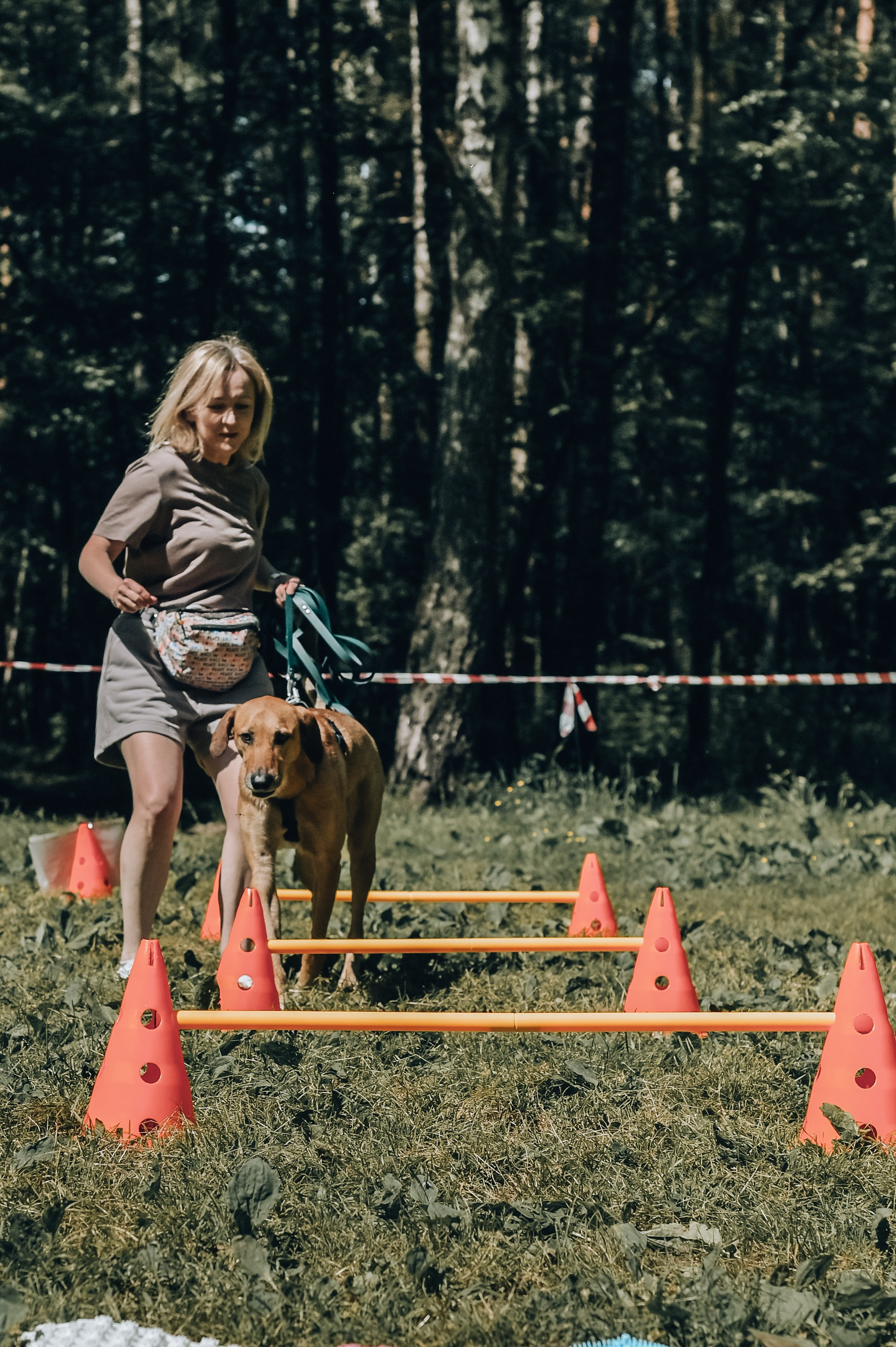 Кинологические соревнования. Семейный и репортажный фотограф в Москве Анастасия Трубкина