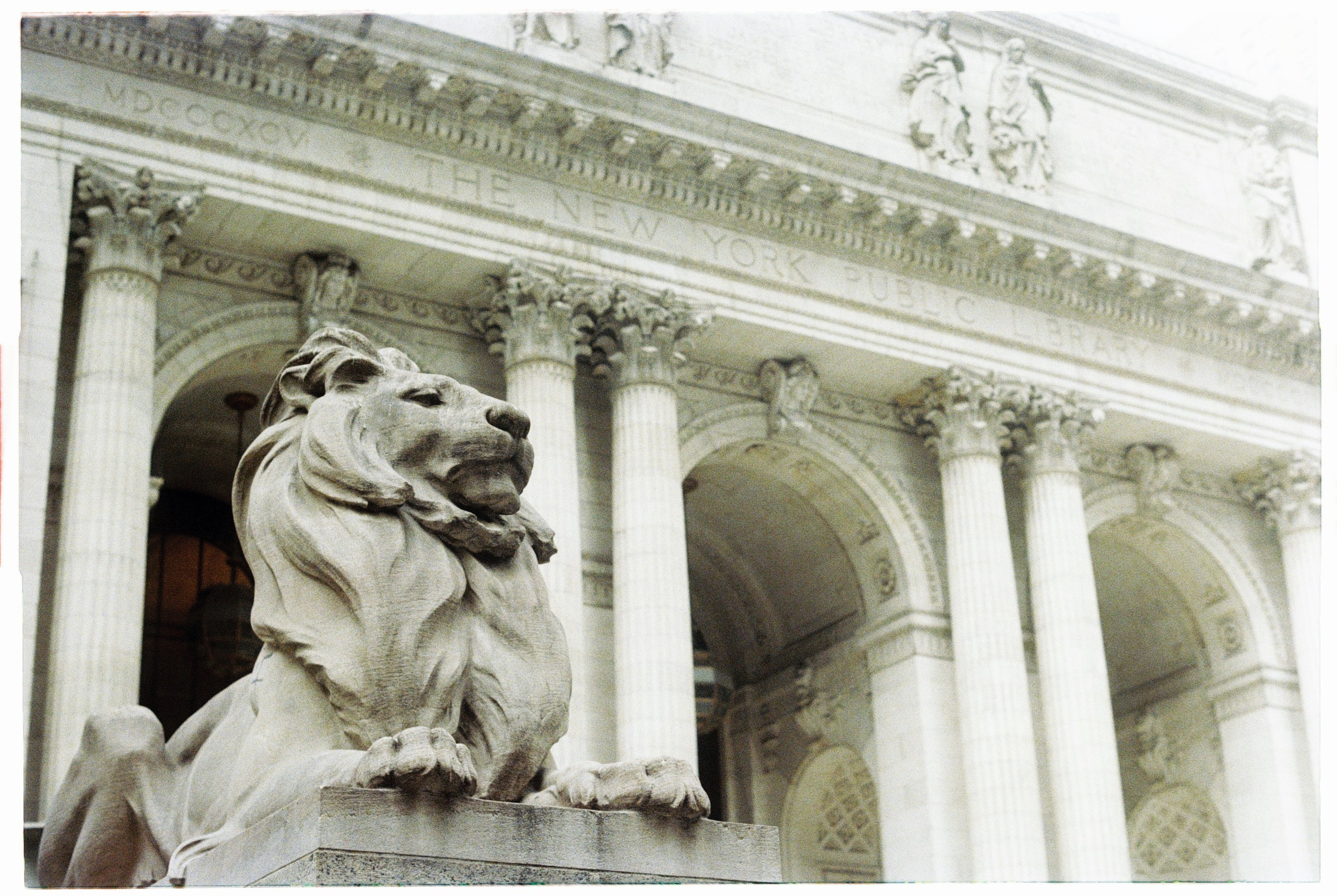 New York. Егор Фотобрат — Портретный фотограф теперь в Ташкенте