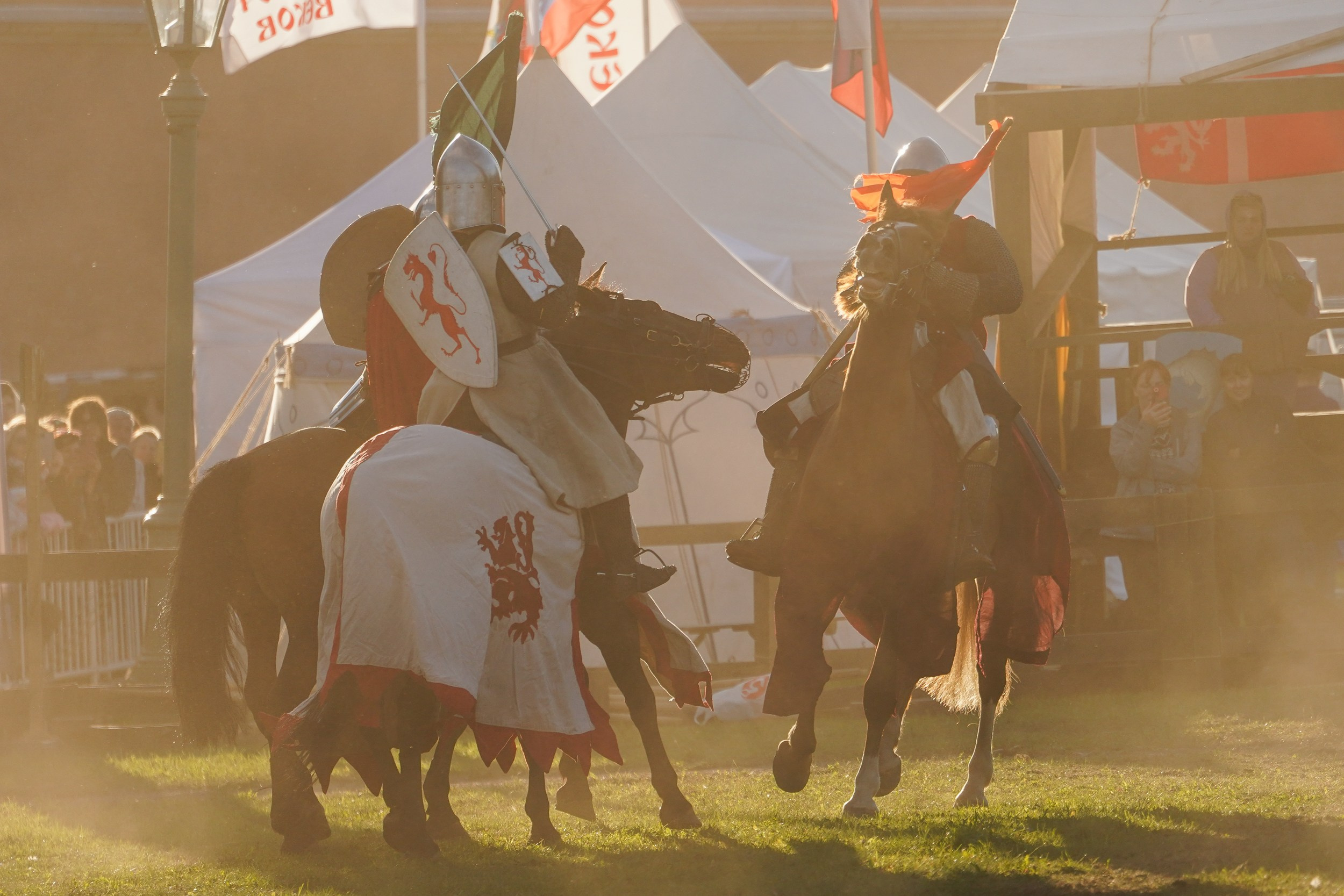 Рыцарский турнир в рамках фестиваля «Битва на Неве» Санкт-Петербург 2024 г. Фотограф-анималист, портретный фотограф в Чебоксарах Мария Садыкова