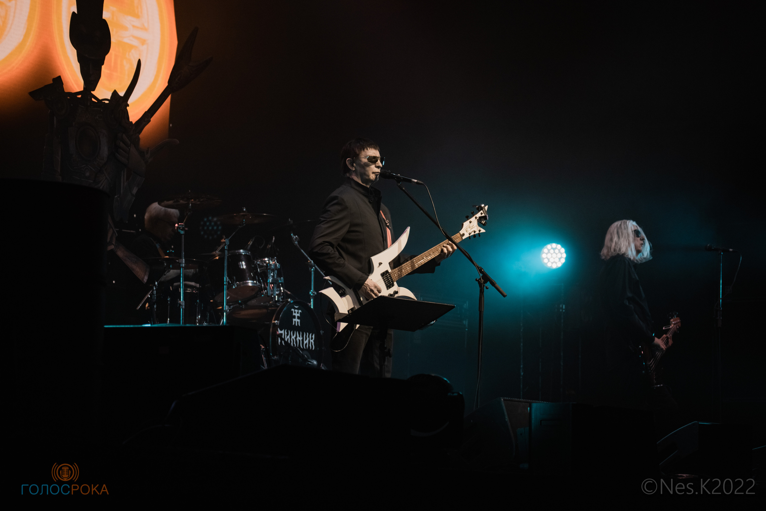 Пикник. Профессиональный фотограф в Москве и МО