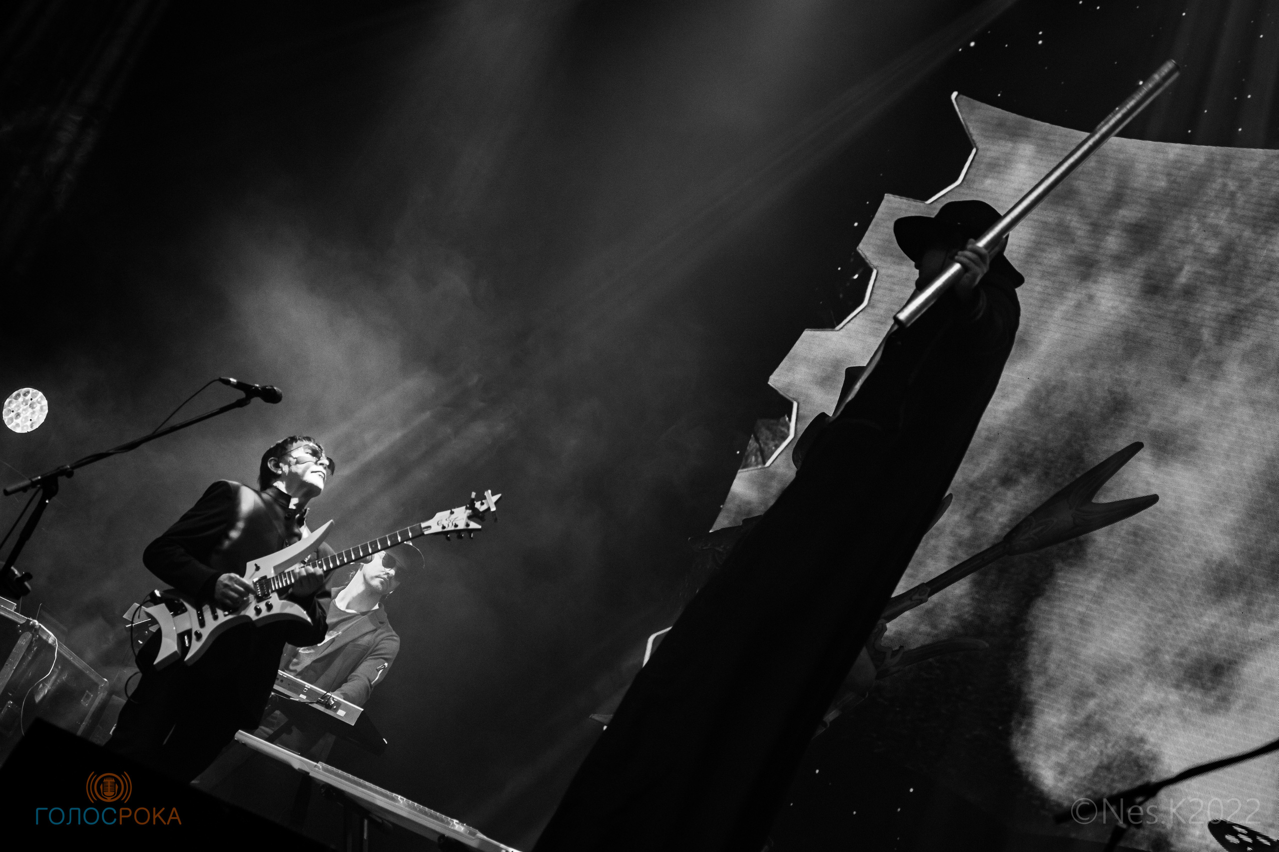 Пикник. Профессиональный фотограф в Москве и МО