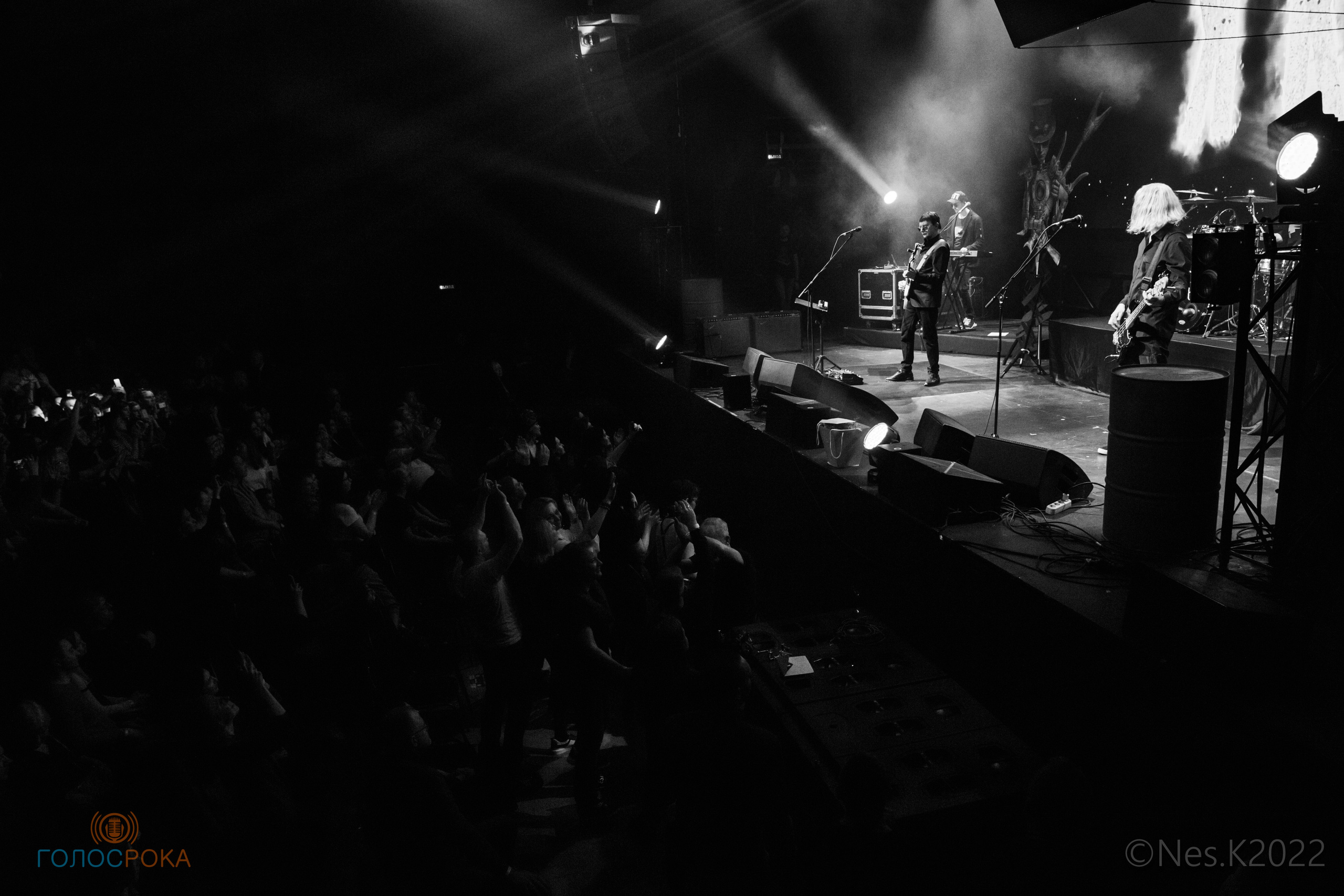Пикник. Профессиональный фотограф в Москве и МО