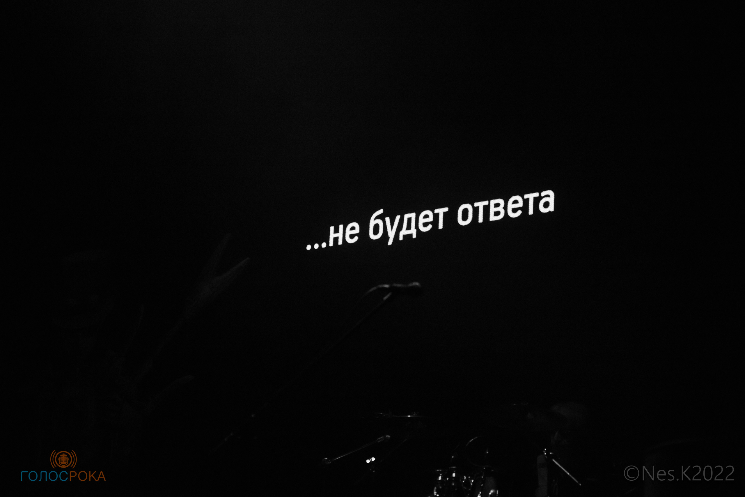 Пикник. Профессиональный фотограф в Москве и МО