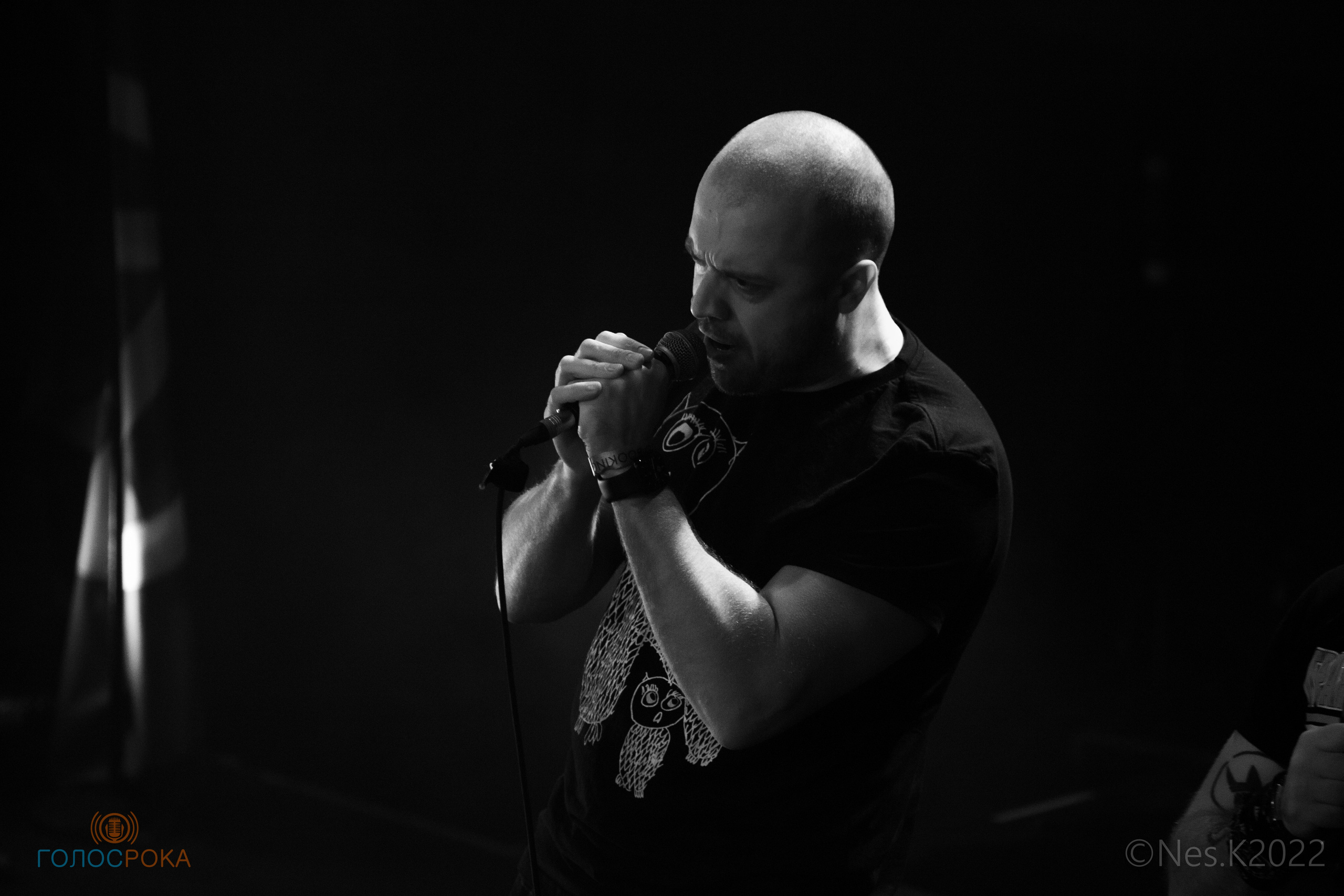 Йорш. Профессиональный фотограф в Москве и МО