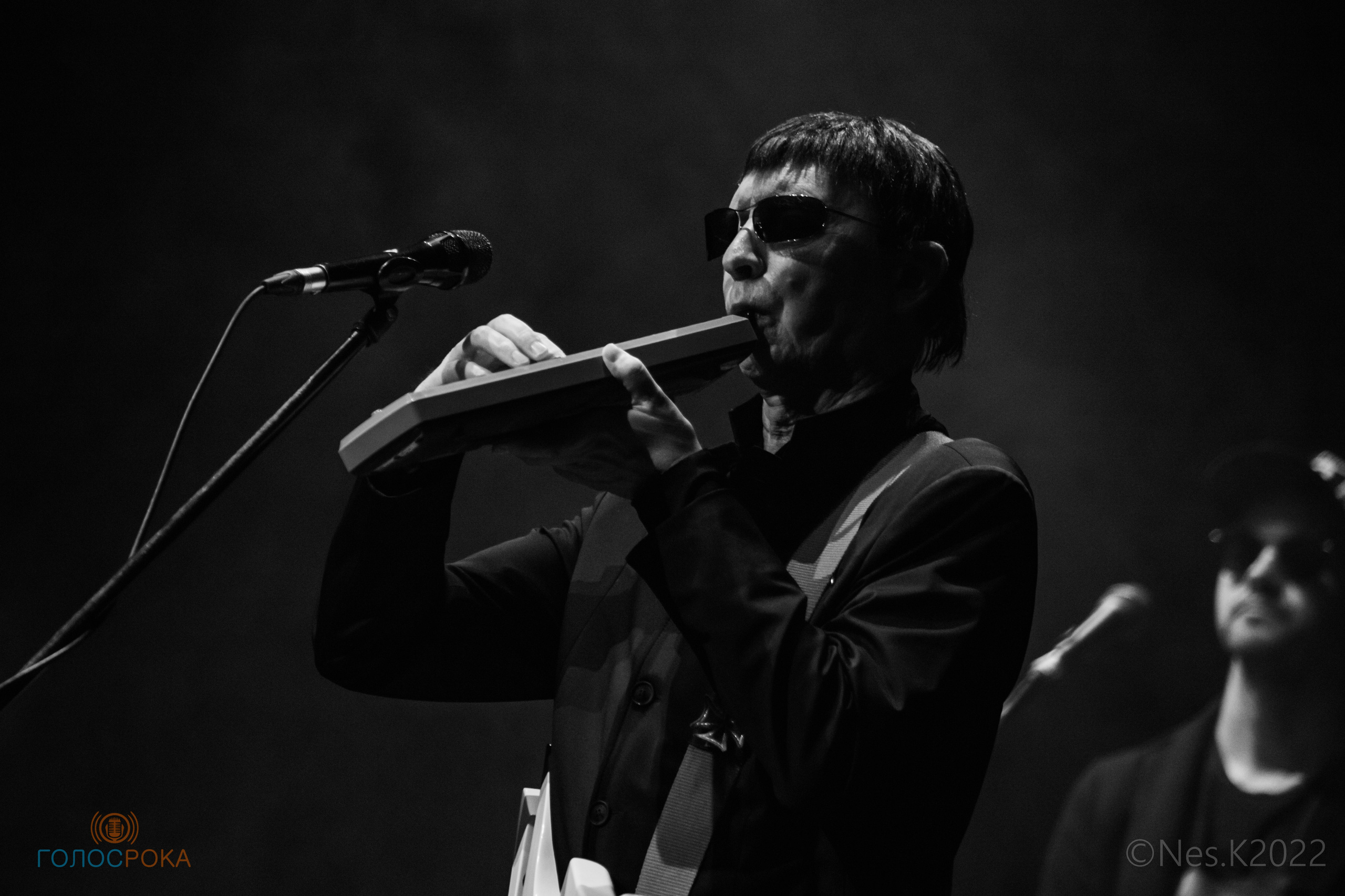 Пикник. Профессиональный фотограф в Москве и МО