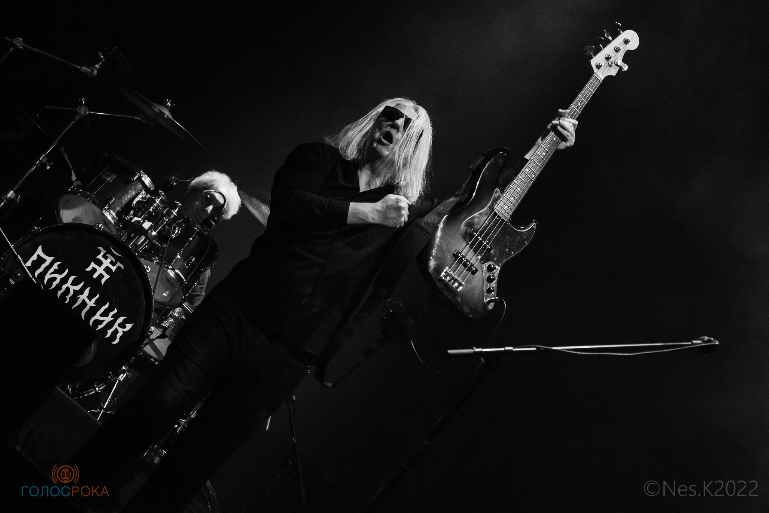 Пикник. Профессиональный фотограф в Москве и МО