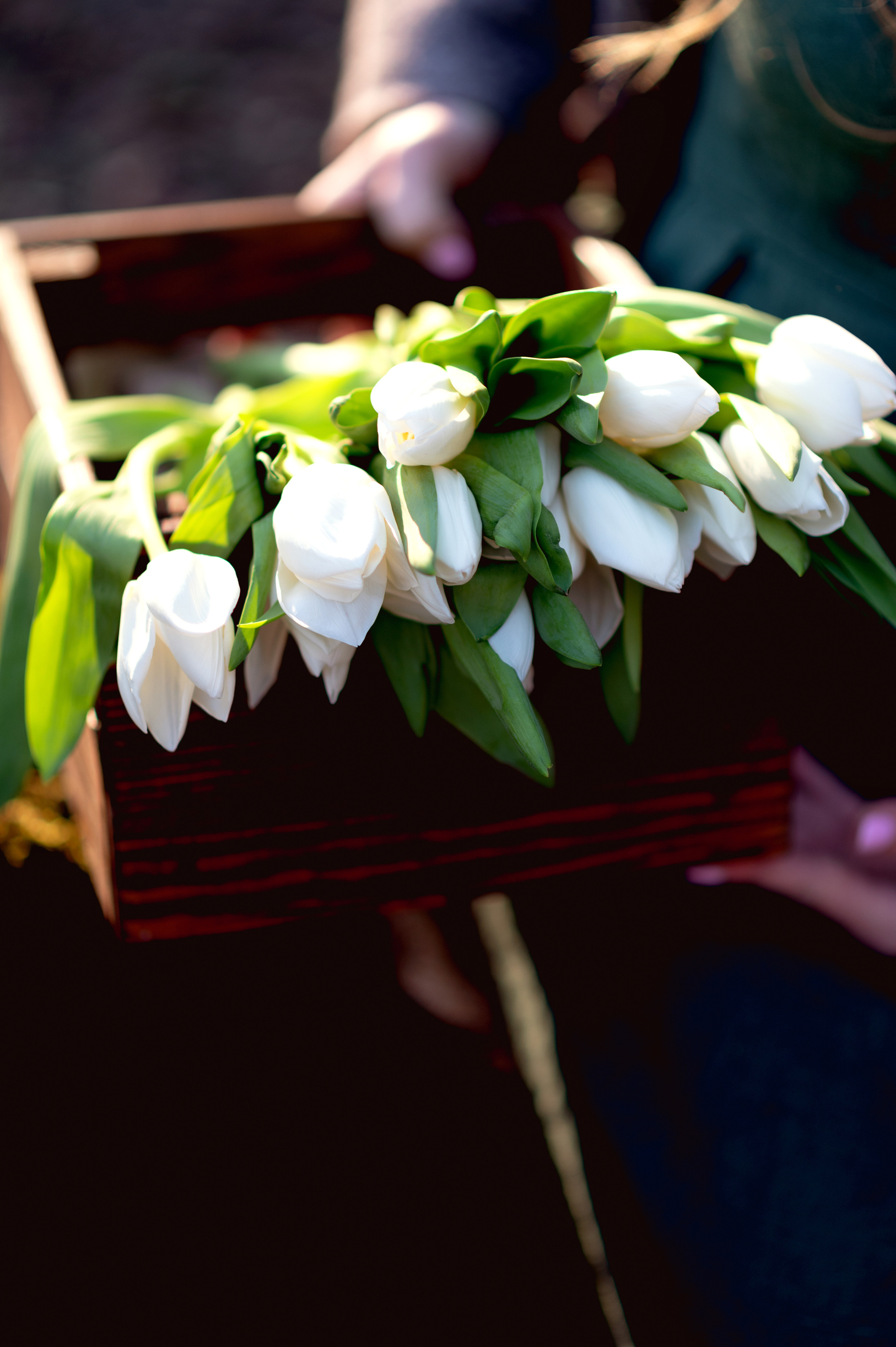 Детский и семейный фотограф в Москве Алина Климанова