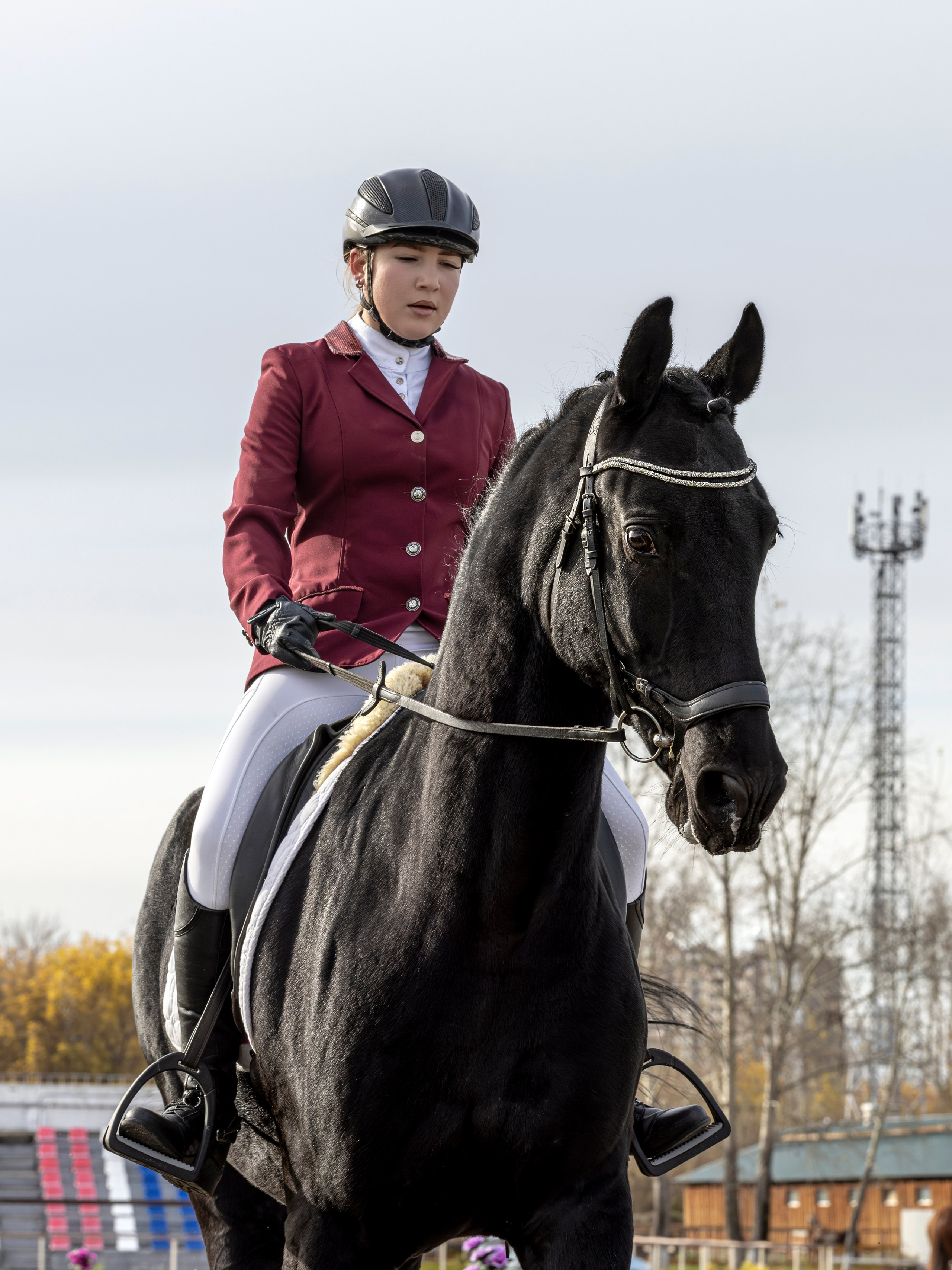 Конкур. Bertran Ordo