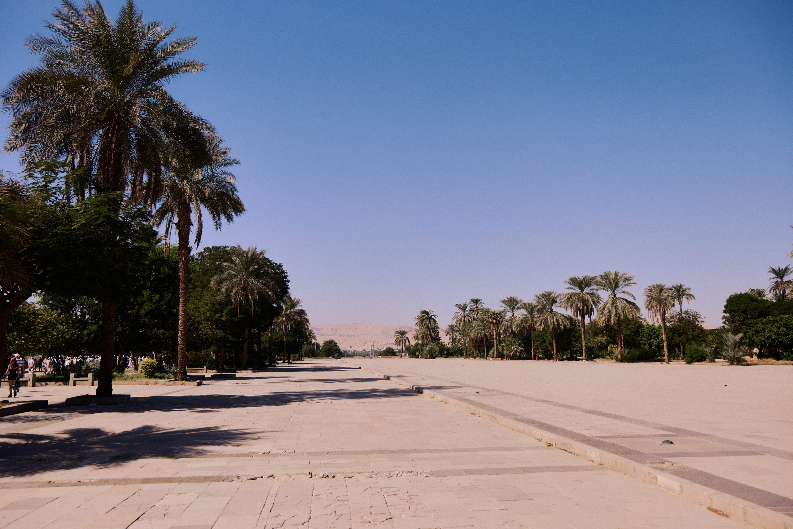 Другое 4. Jorgis — фотограф в Хургаде / обучение фотографии