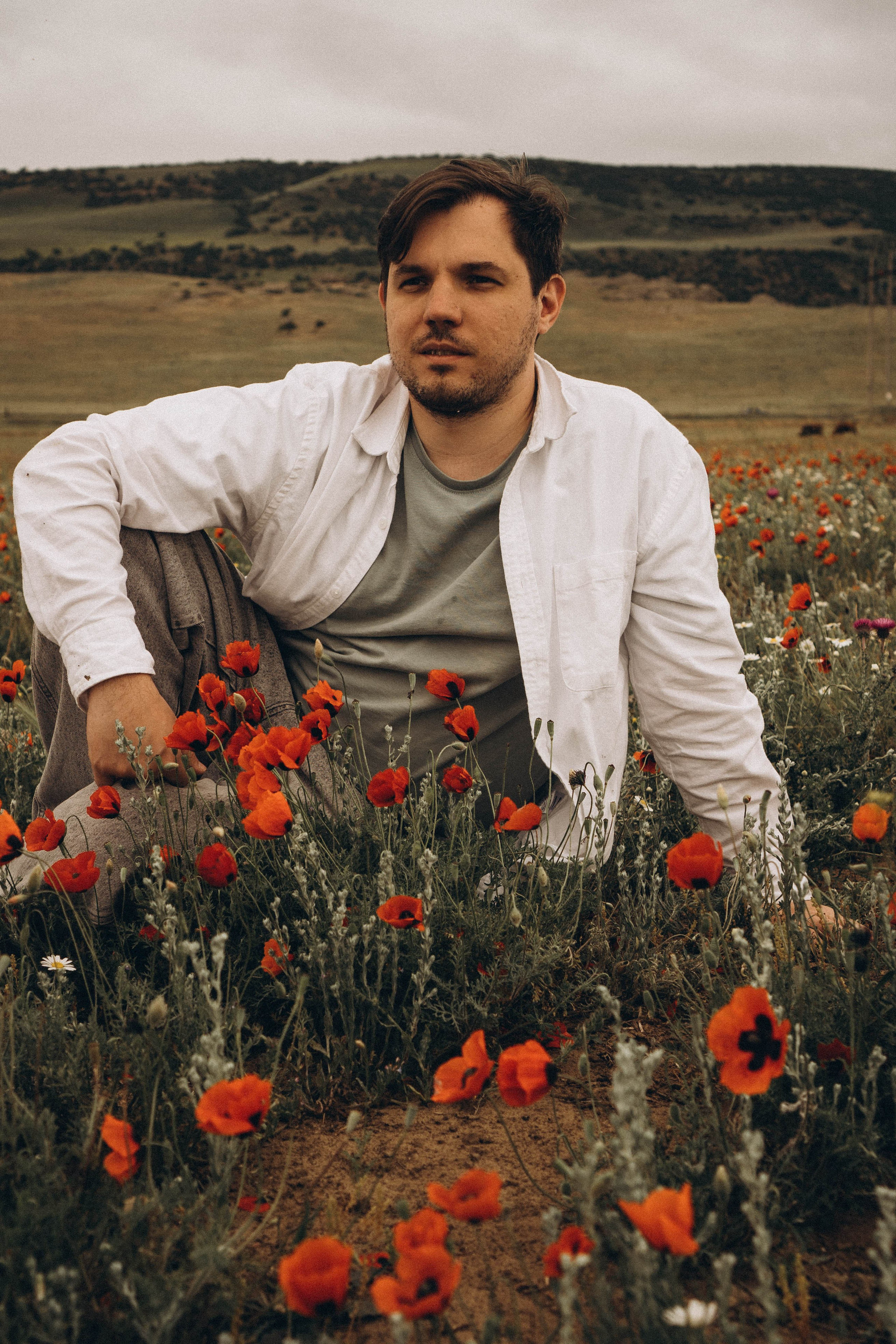 Маки. Профессиональный фотограф, Санкт-Петербург — Виктория Богомолова