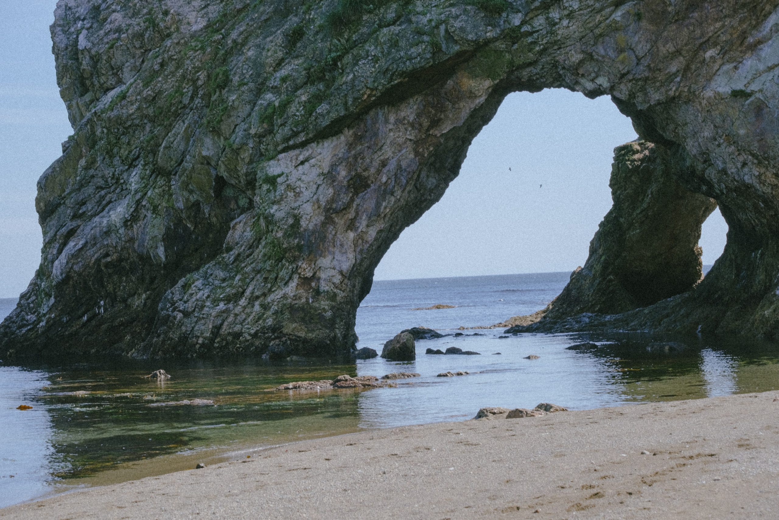 САХАЛИН. Профессиональный фотограф, Санкт-Петербург — Виктория Богомолова