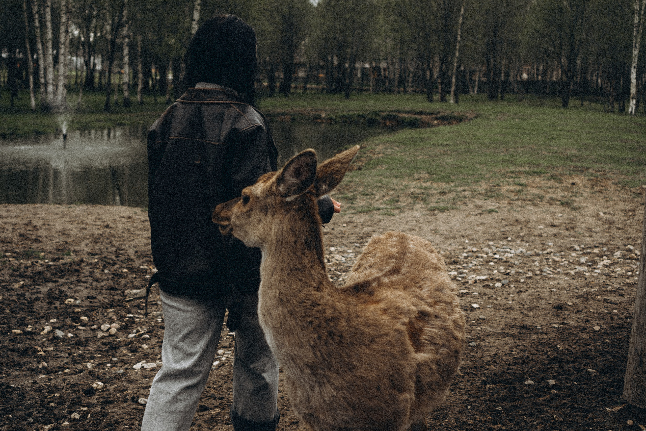 ОЛЕНЬЯ ФЕРМА В ТВЕРИ. Профессиональный фотограф, Санкт-Петербург — Виктория Богомолова