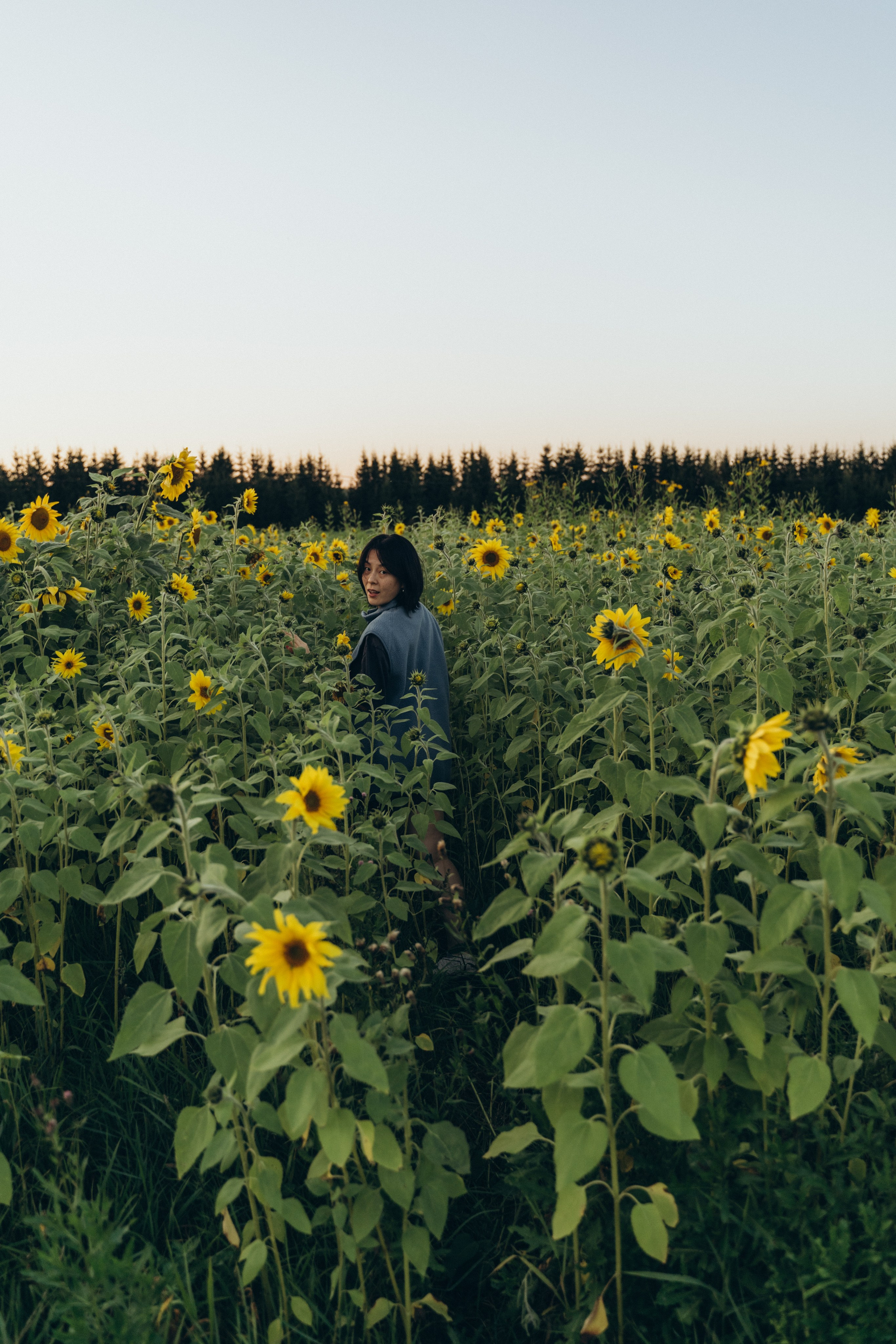 Света Ли. Главная