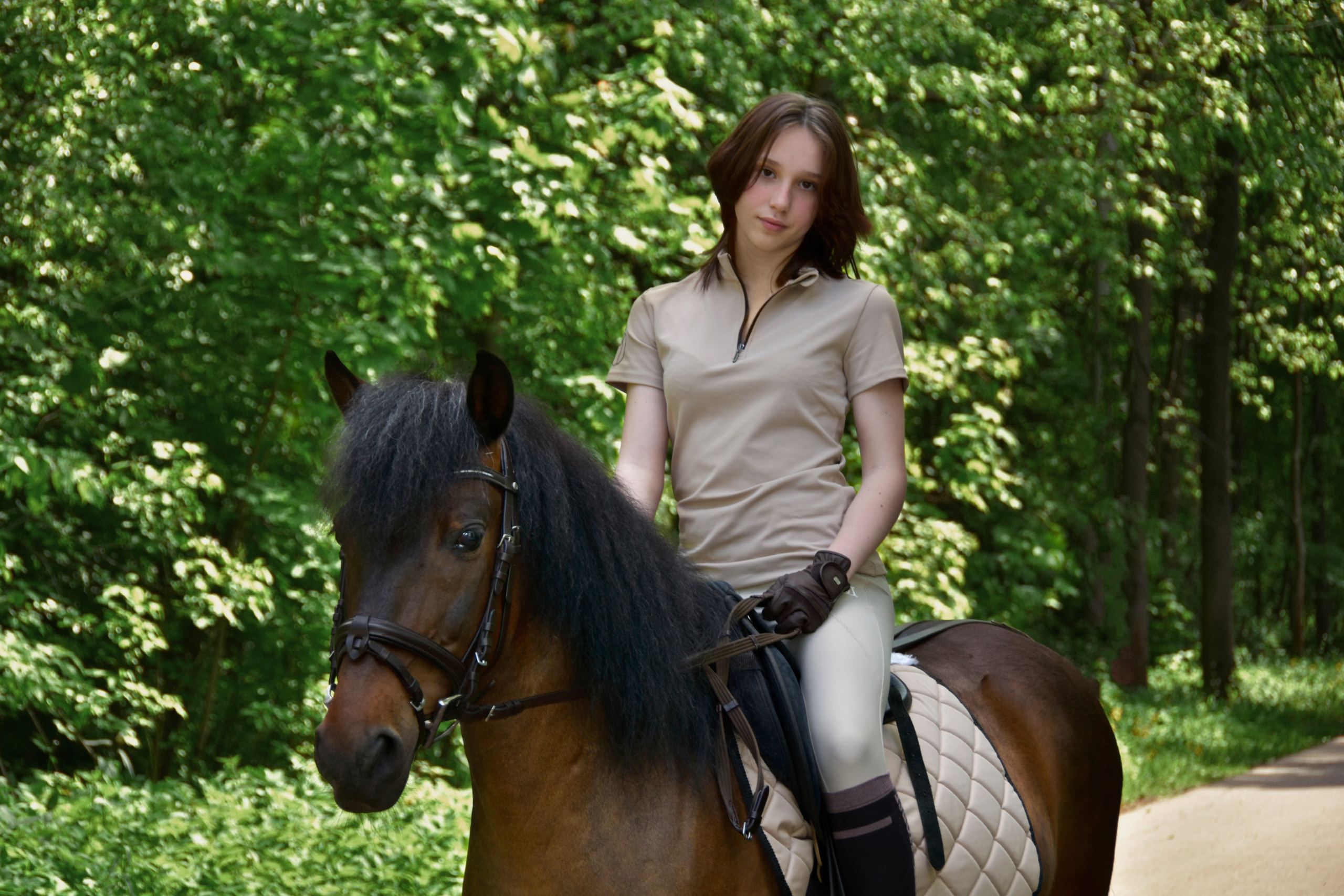 Александра и Капрал (клеппер). Конный фотограф Москва