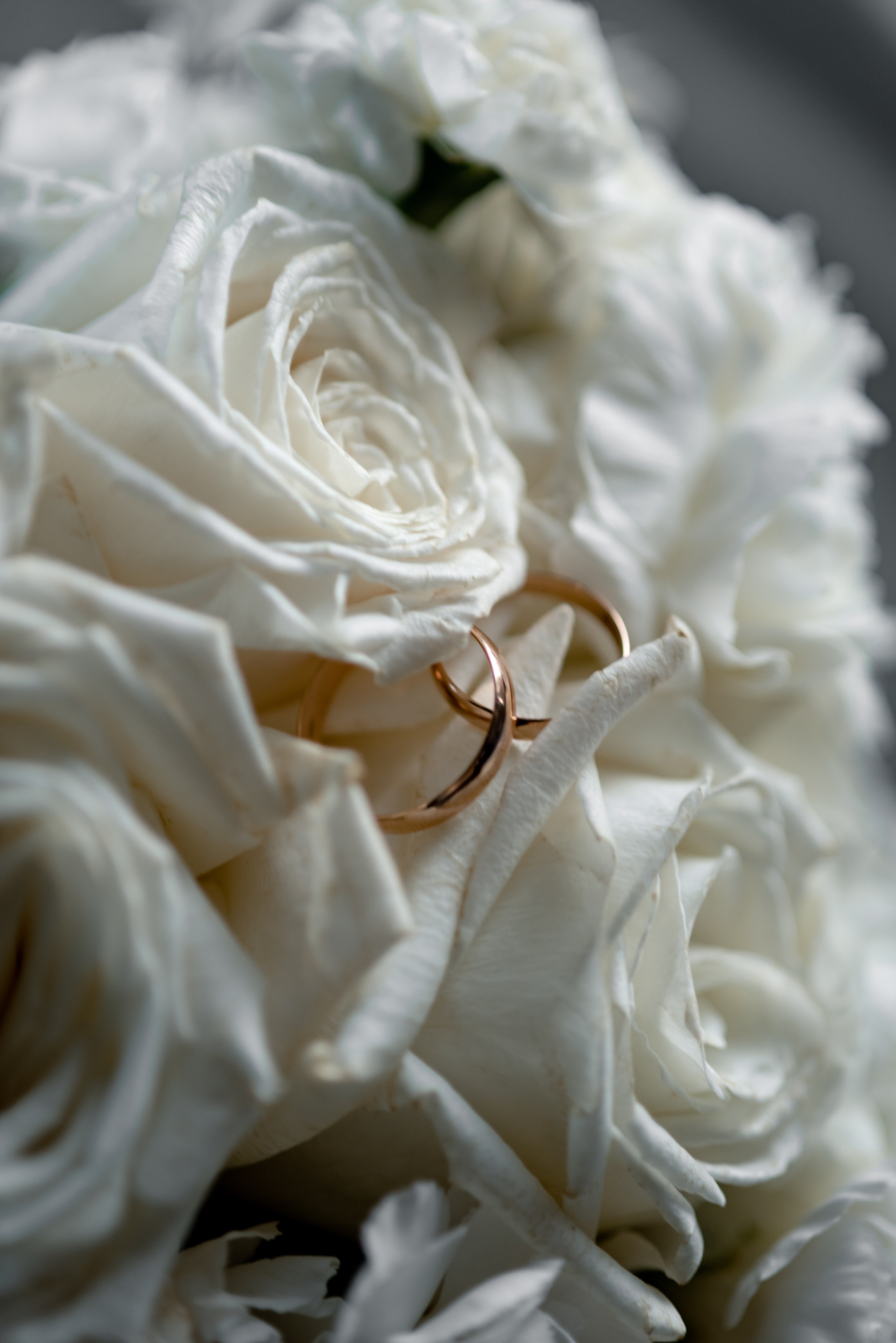 Дмитрий и Анна. Свадебный фотограф Тюмень / Санкт — Петербург Миронова Наталия