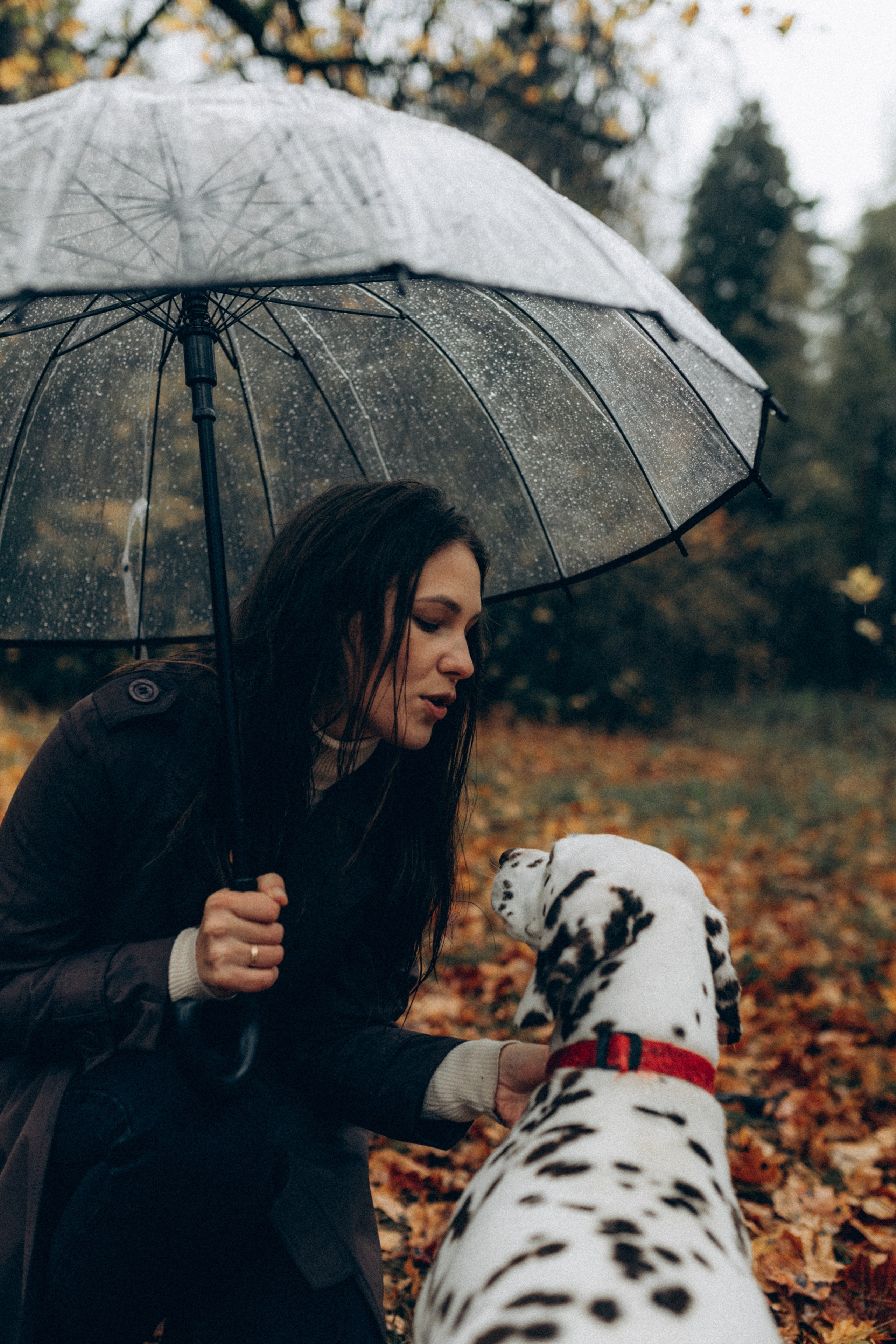 Анфиса & Нисма. Фотограф НОГИНСК, Москва, Анастасия Белая