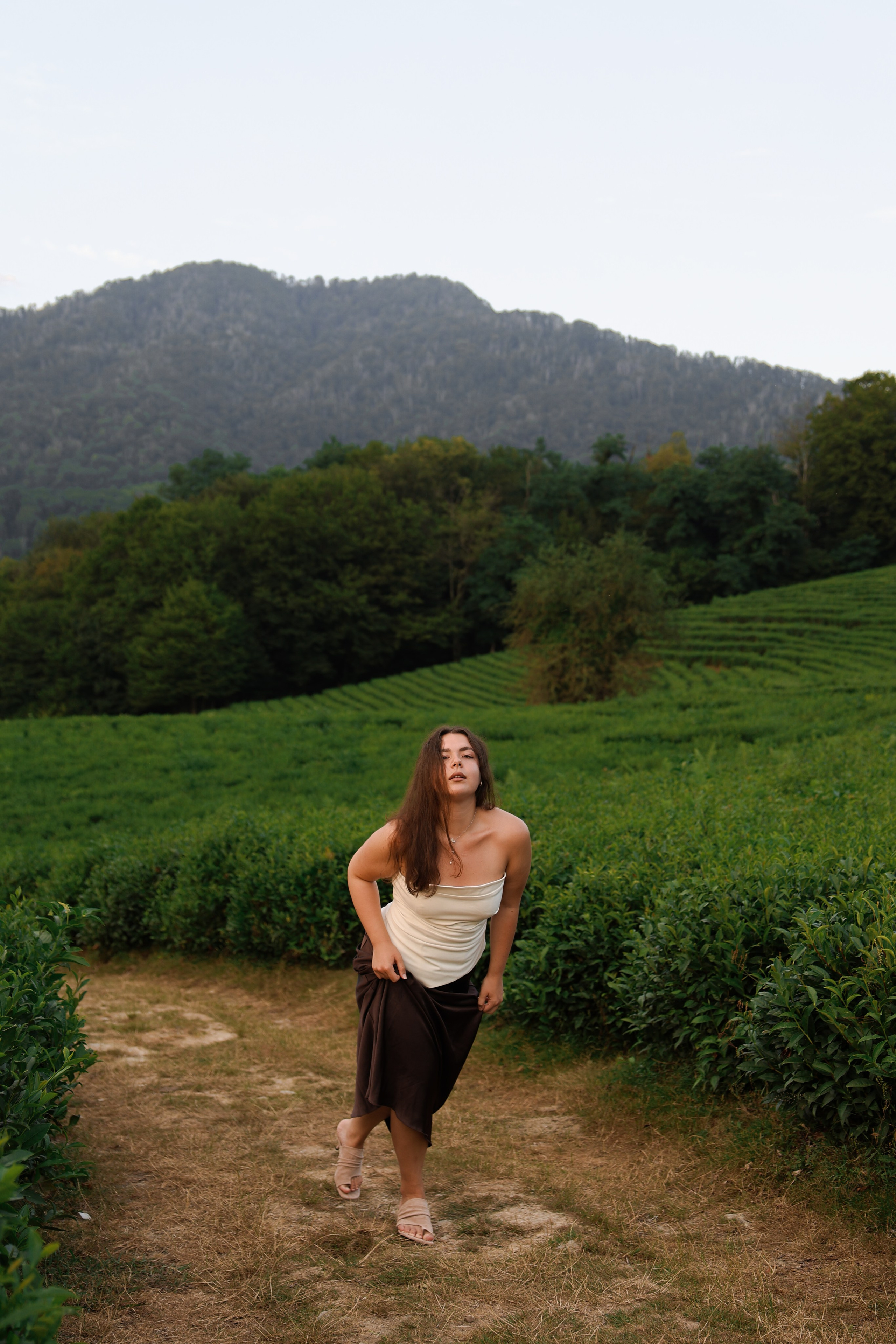 ЧАЙНЫЕ ПЛАНТАЦИИ. Фотограф Москва Оля Олбимак