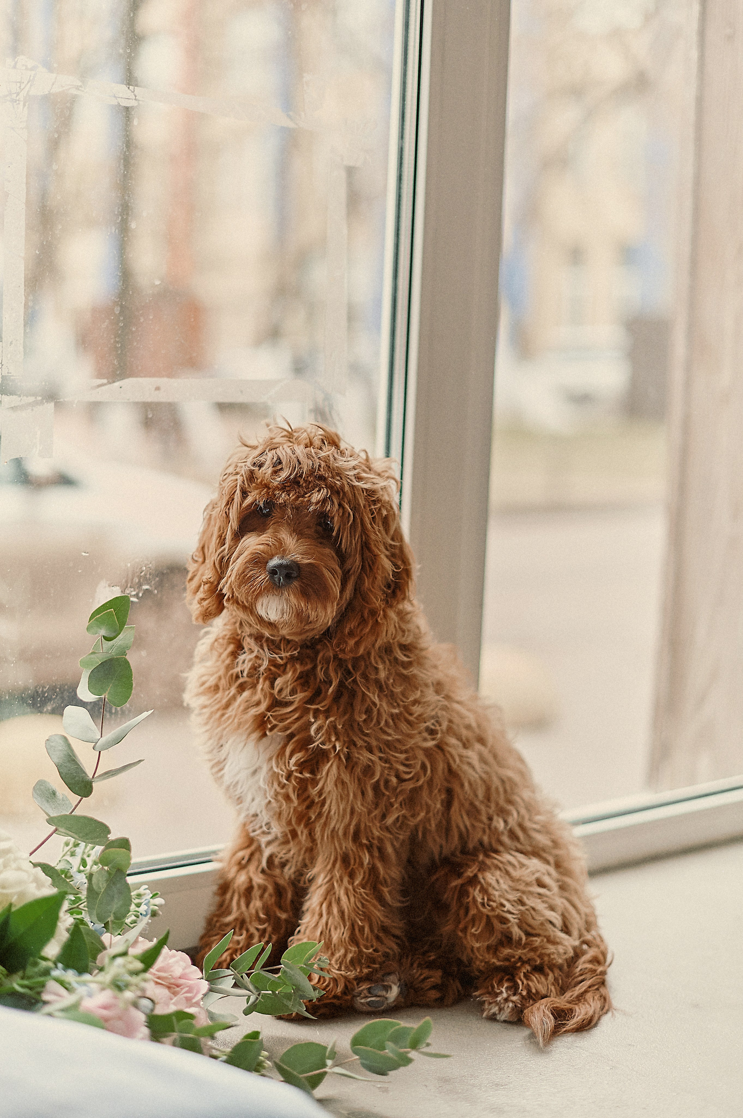 ИСТОРИЯ ОДНОЙ ПУЗОЖИТЕЛЬНИЦЫ. Свадебный и семейный фотограф РИТА БОЧКАРЁВА