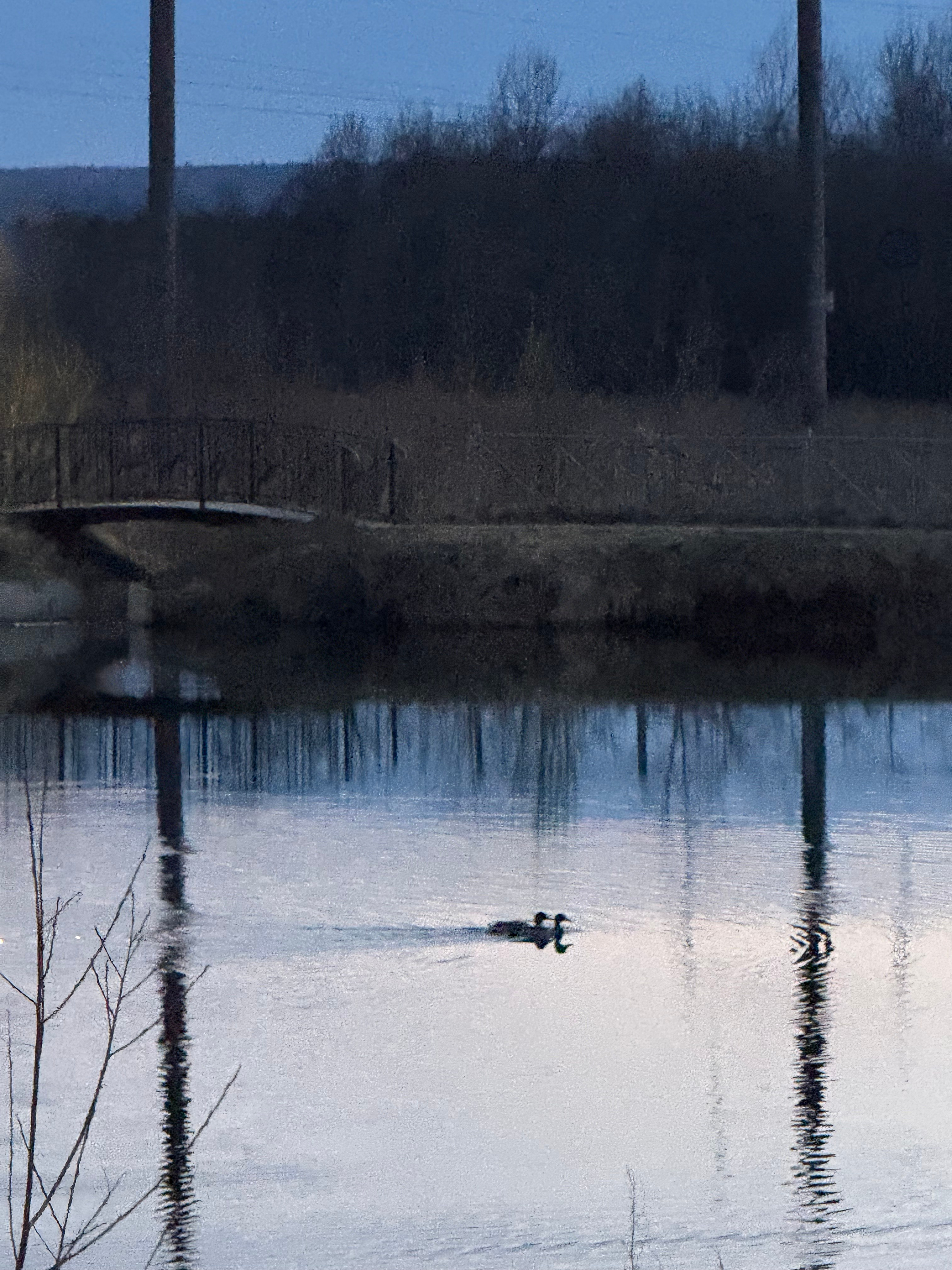 Фотограф Москва. Фотограф и художник в Москве Евгения Нюнина