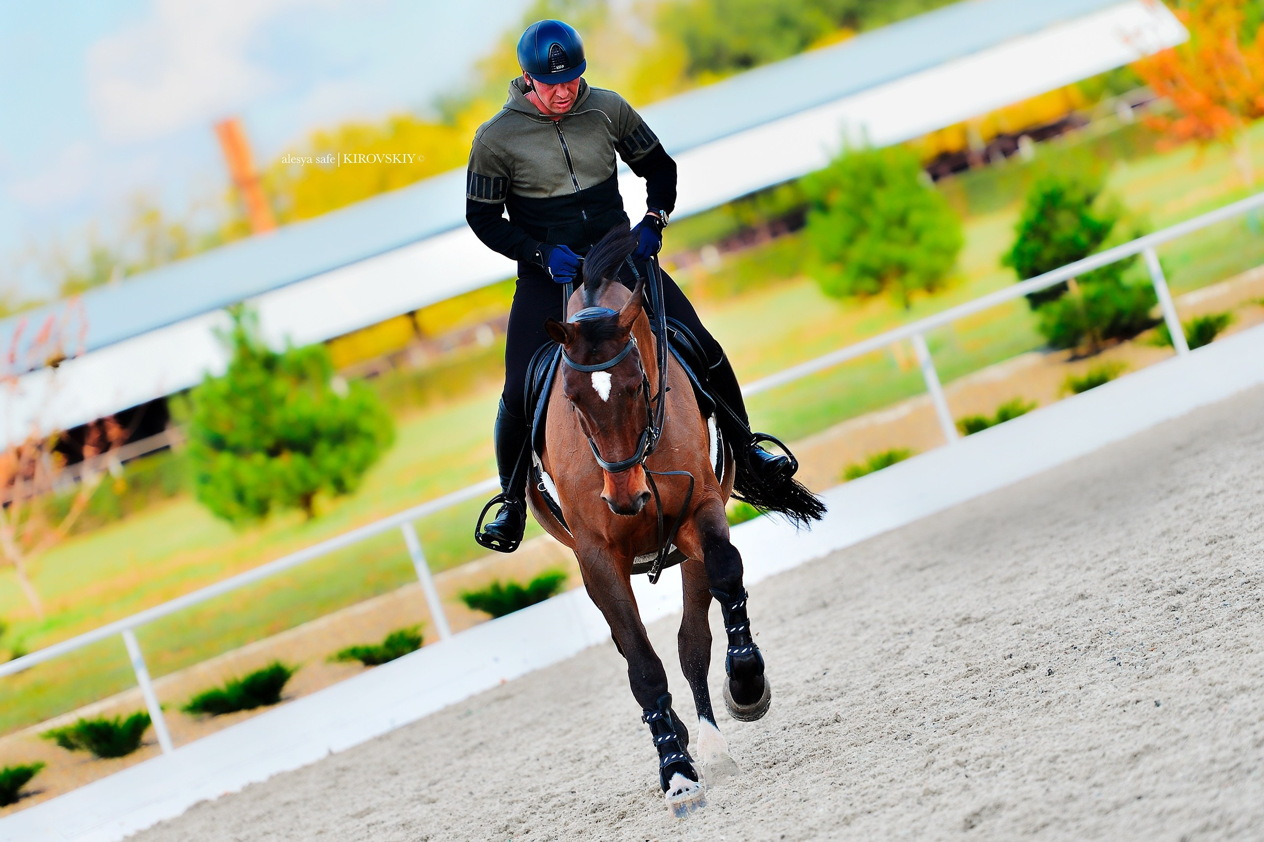 Кировский конный завод. Конный фотограф Alesya Safe