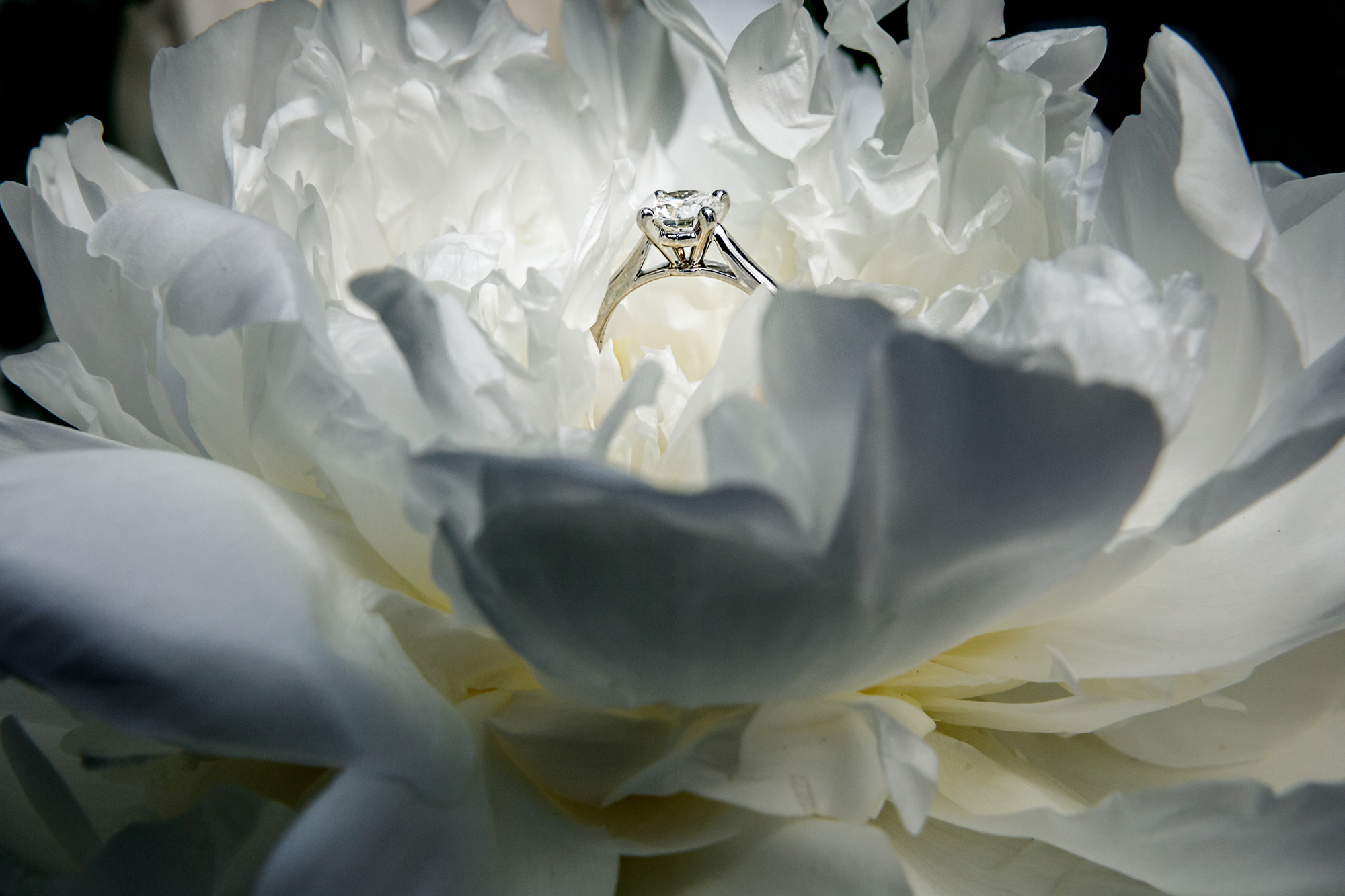 Свадебный фотограф  Байжанов Марат