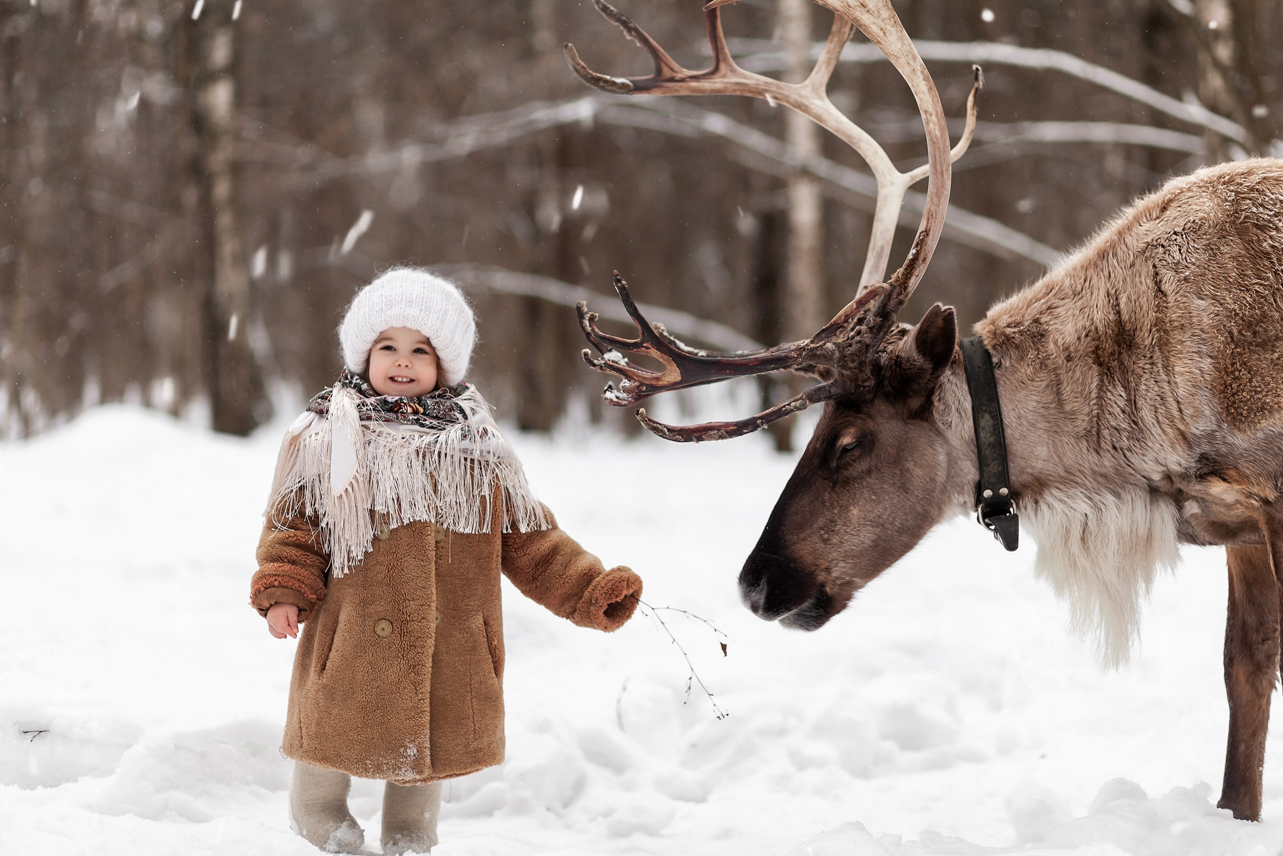 Детская фотосессия девочки с оленем в деревенском стиле