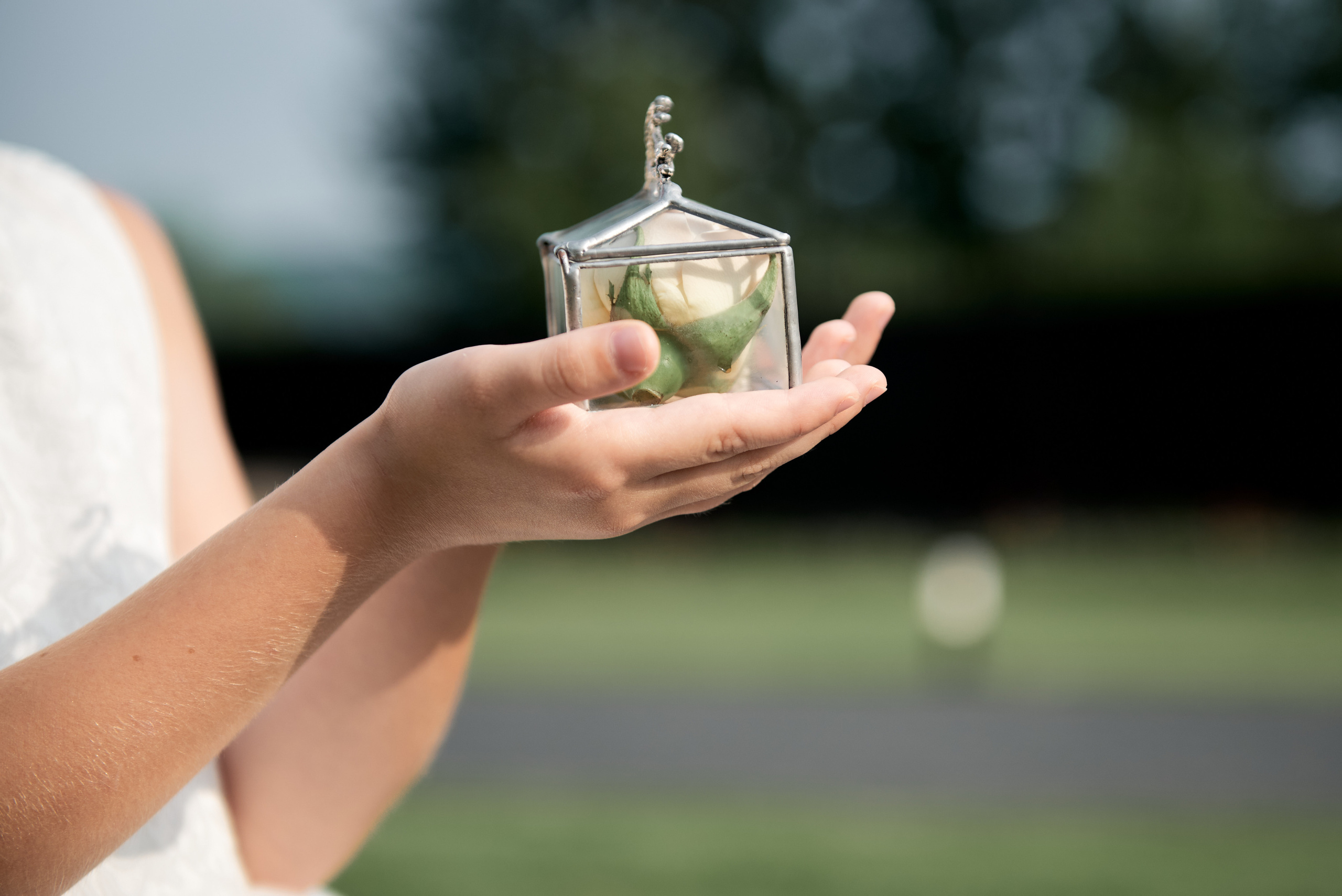 Анна и Александр. Свадебный фотограф Александр Браво