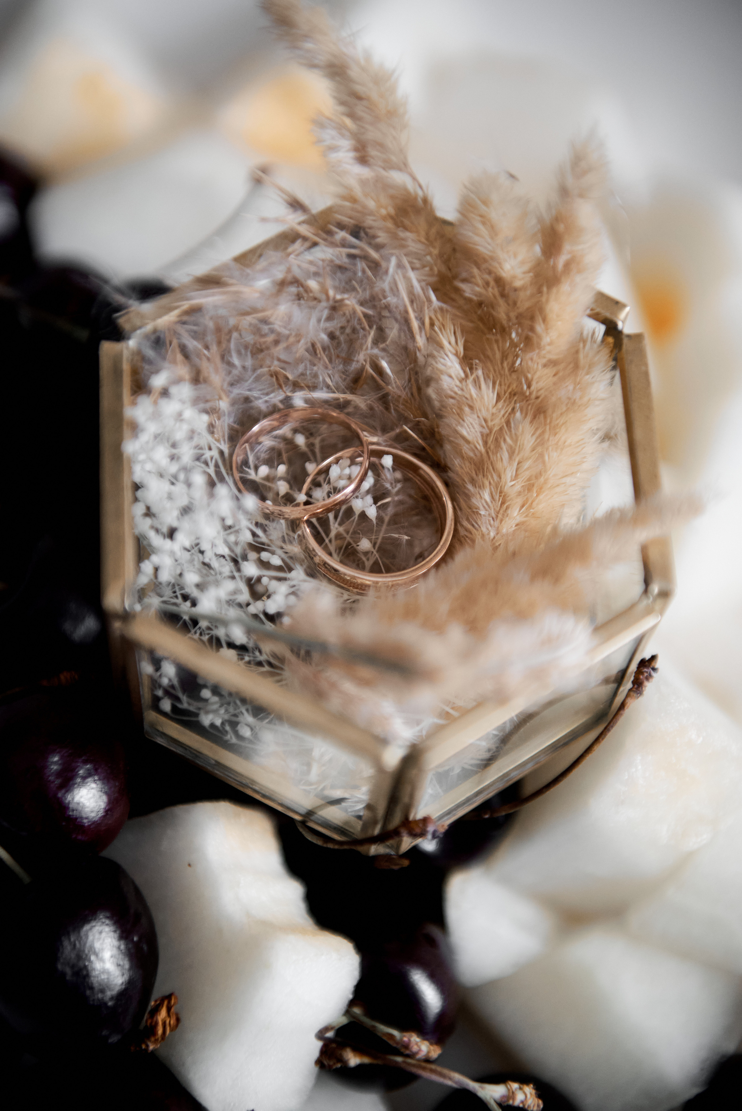 Екатерина и Илья. Свадебный фотограф Александр Браво