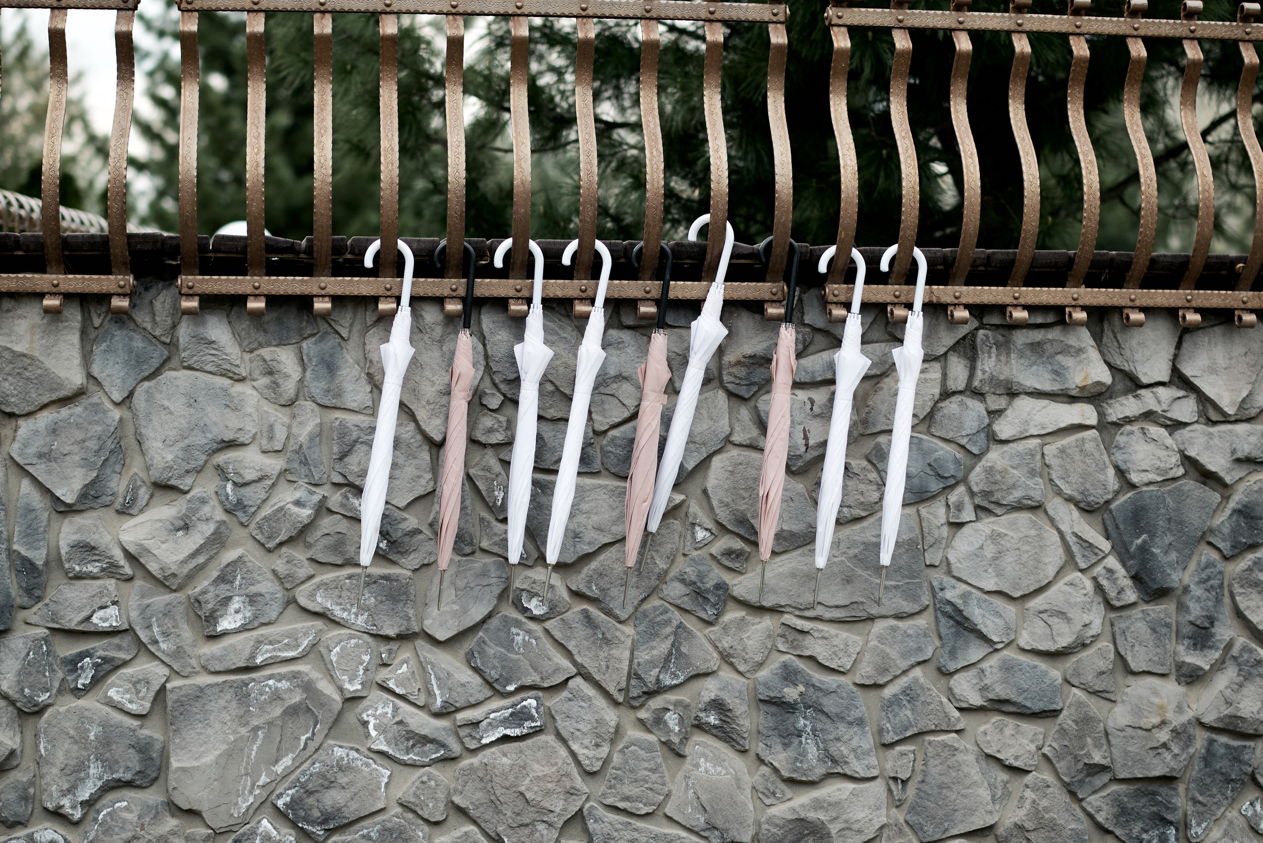 Анастасия и Дмитрий. Свадебный фотограф Александр Браво