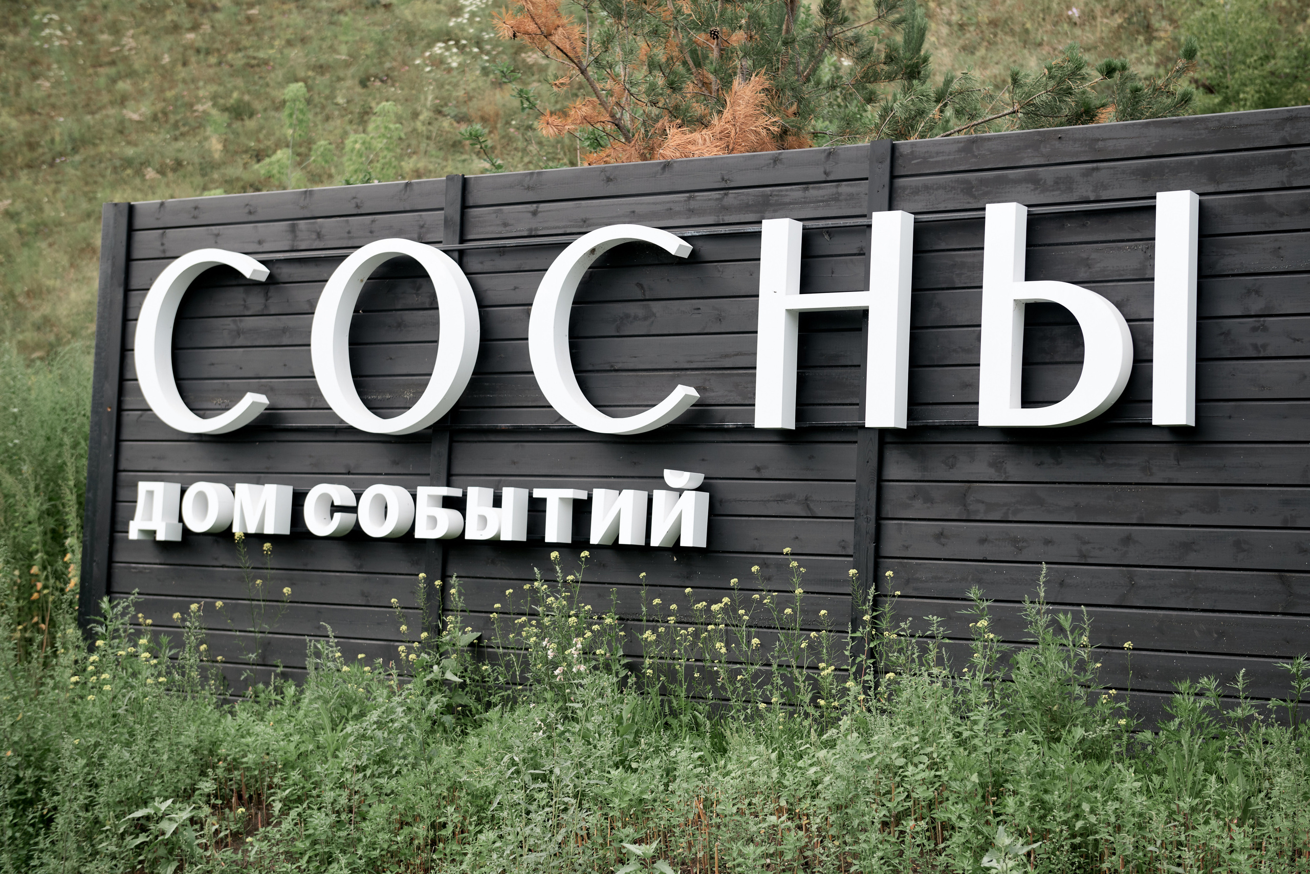 Анна и Александр. Свадебный фотограф Александр Браво