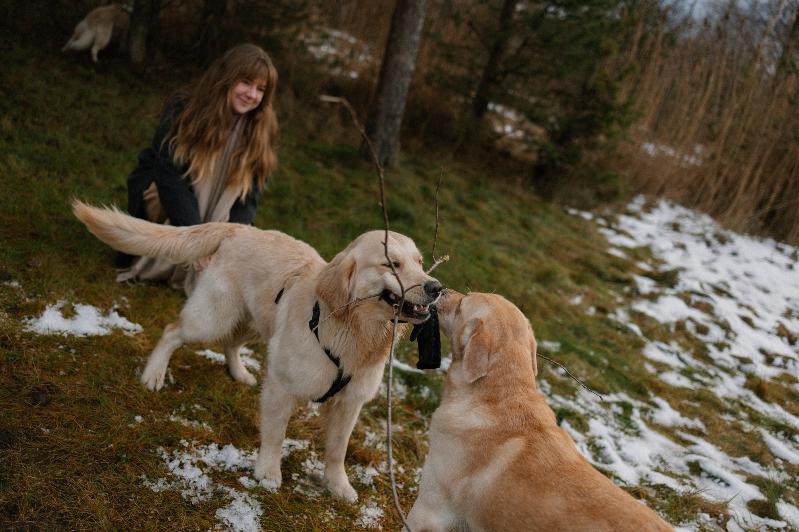 Ирина и Бася. Фотограф — Анималист | Санкт-Петербург