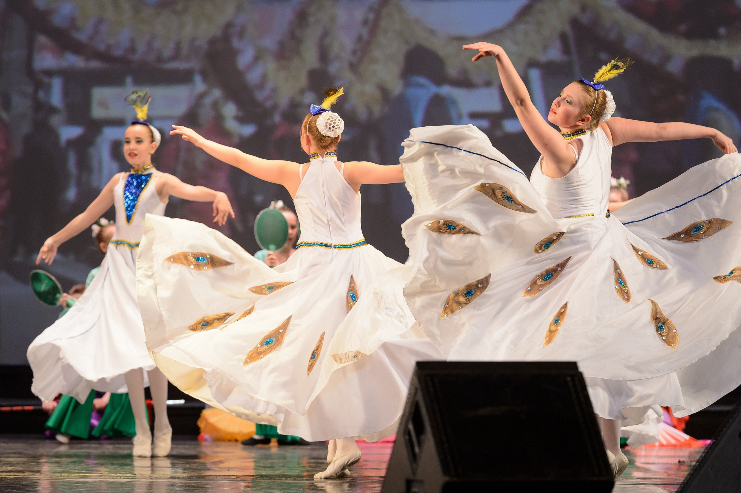 23 мая, концерт 5 лет, БКЗ. Золотое яблочко