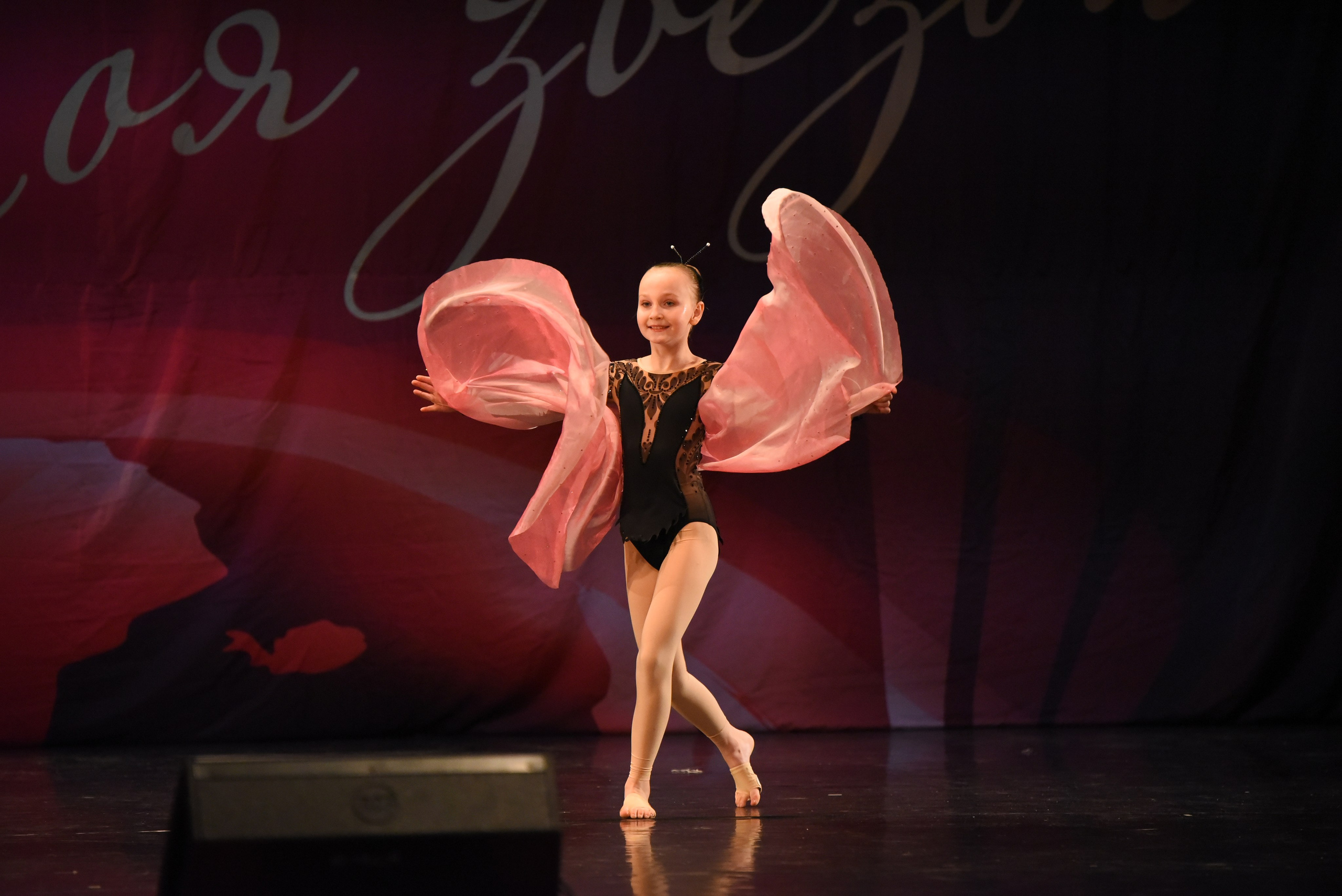 13 декабря, г. Калининград. Золотое яблочко