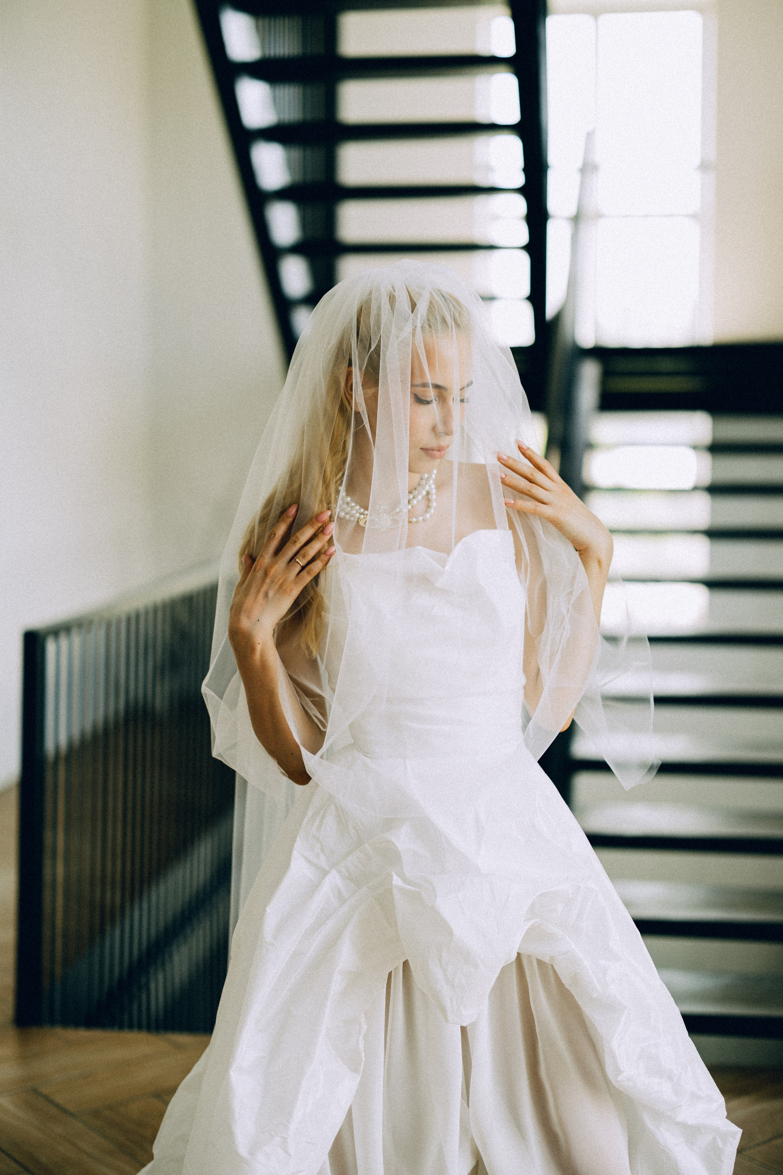 Dandelions. Daria Chigintseva Photographer