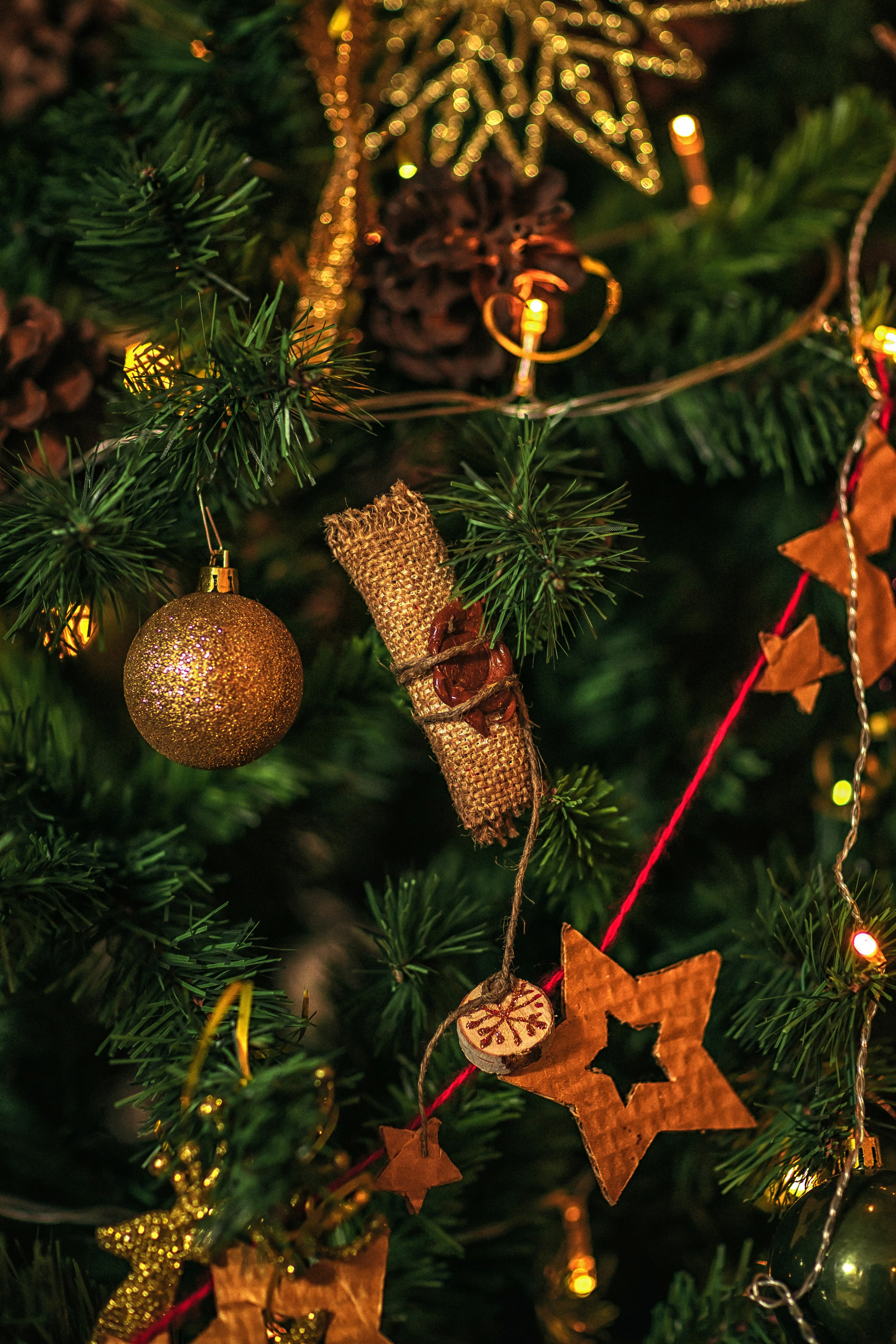 Письмо Деду Морозу. Фотограф в Канске Нина Пуряева