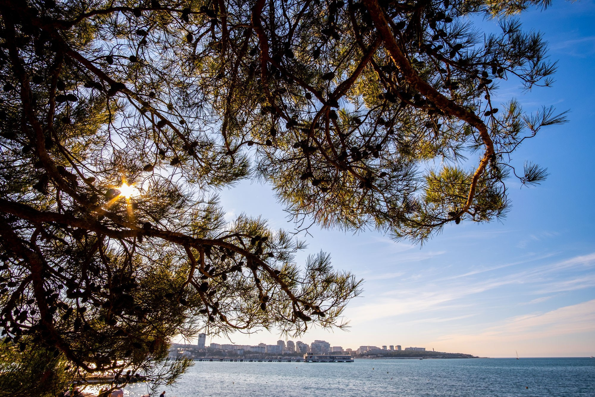 Свадебный фотограф в Геленджике
