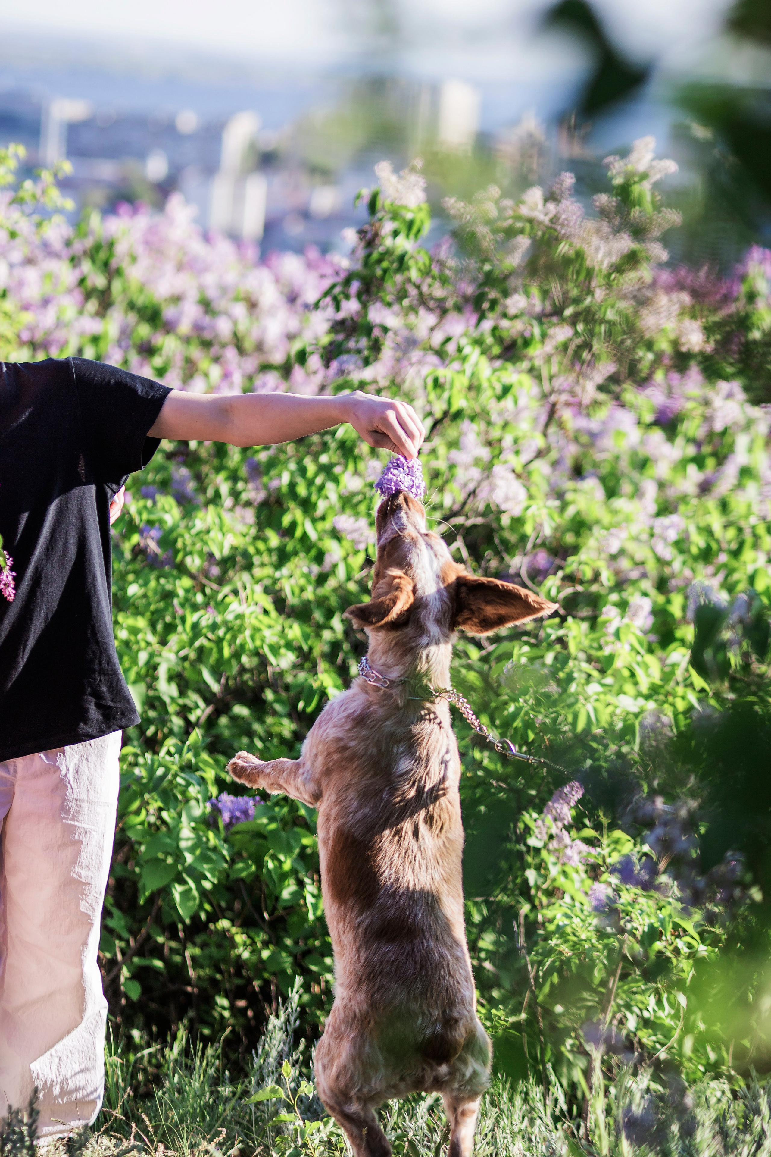 Семейные фотоистории. Семейный фотограф в Саратове