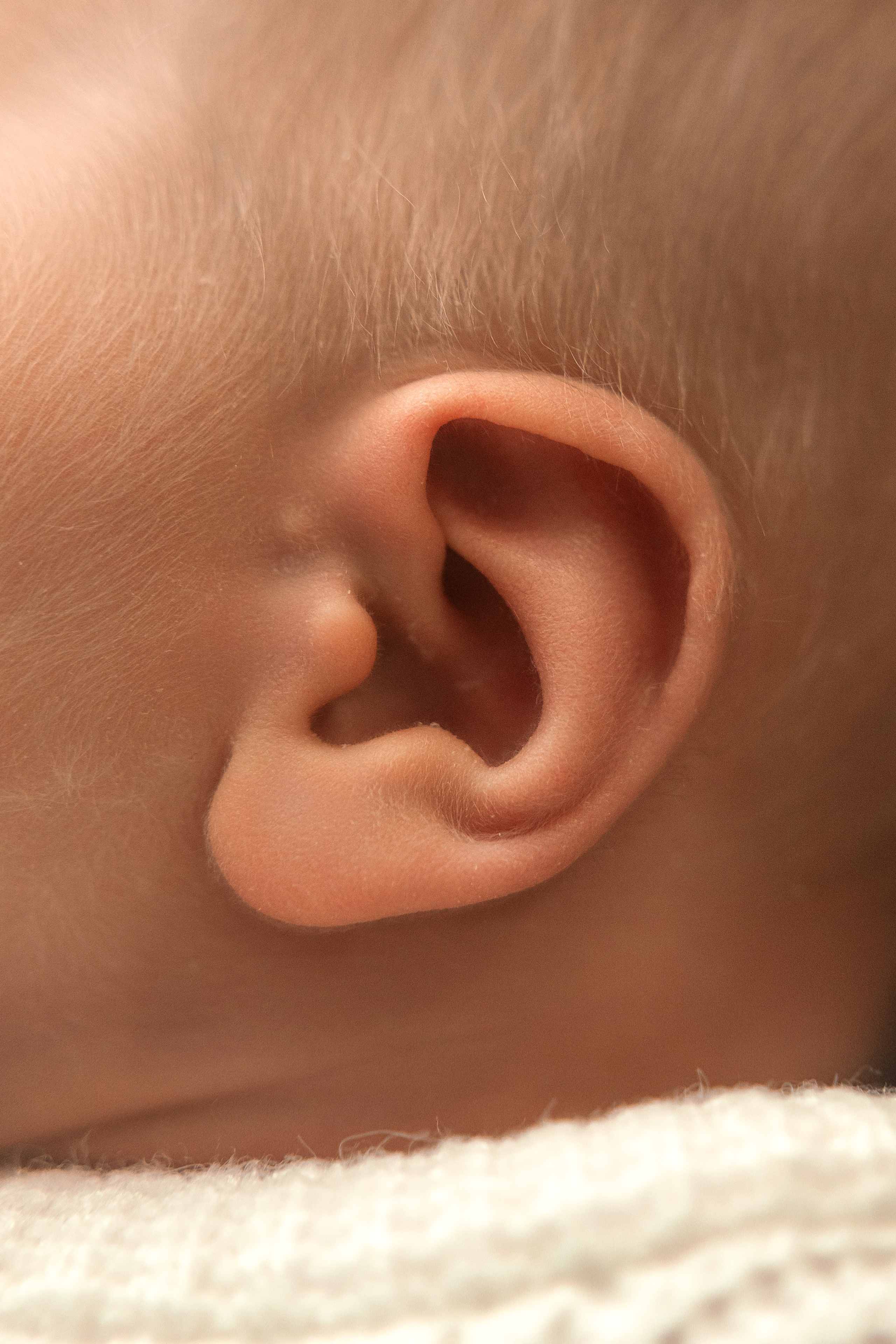 Пакет № 2 Оптимальный. Фотограф Москва Подольск МО