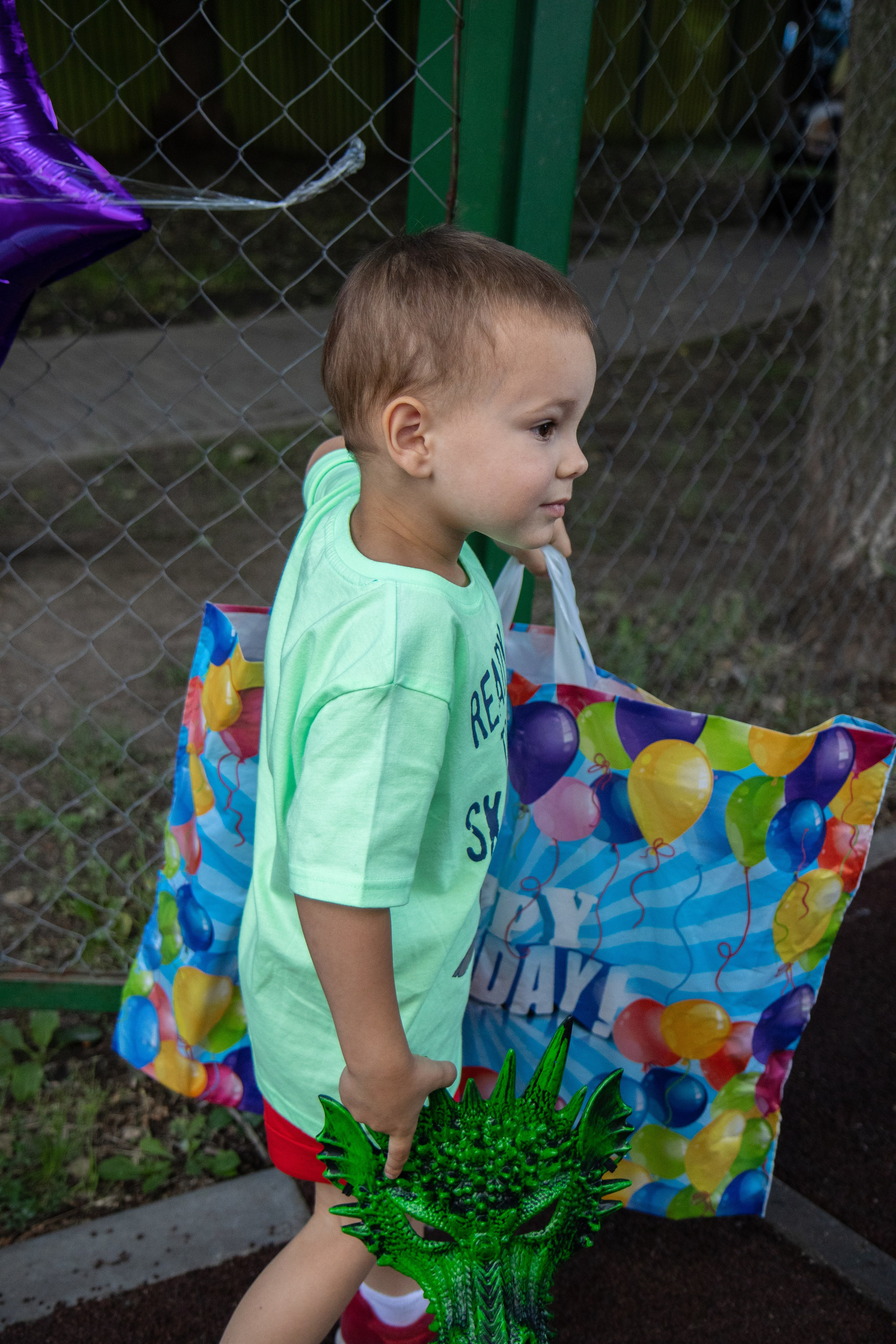 День Рождения Артема. Семейный и детский фотограф в Королёве Шарутина Лидия