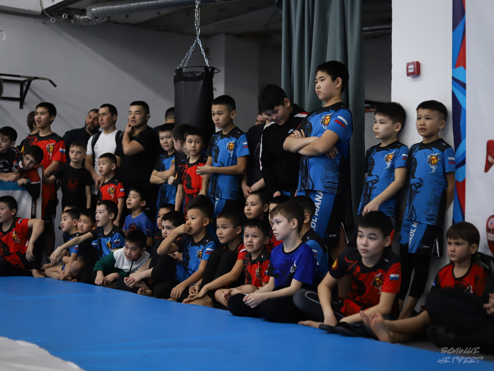 GORILLA PRIDE CUP. Больше не греет