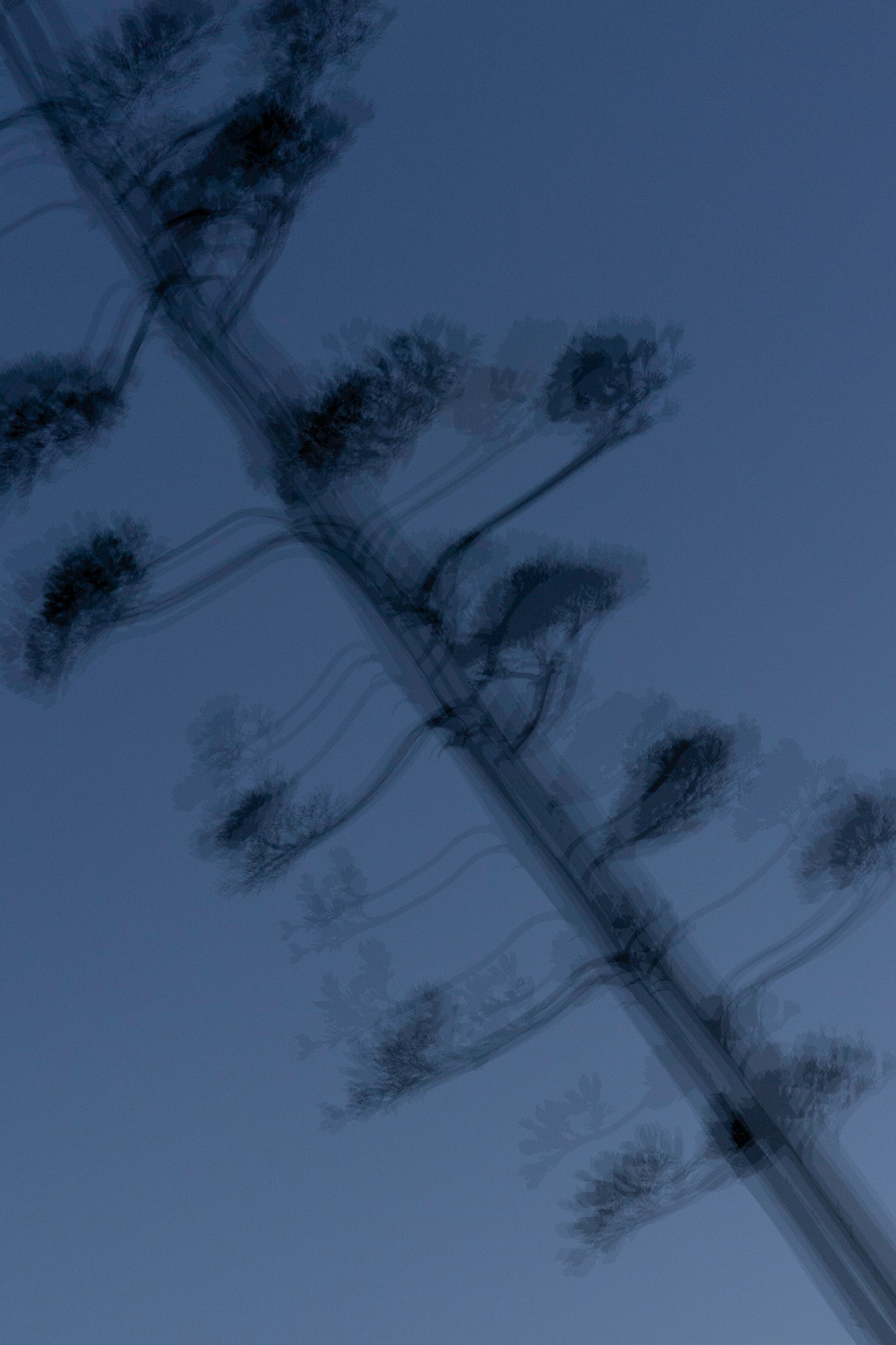 Art prints. Фотограф алина стерхова, алина стерхова фотограф, фотограф москва