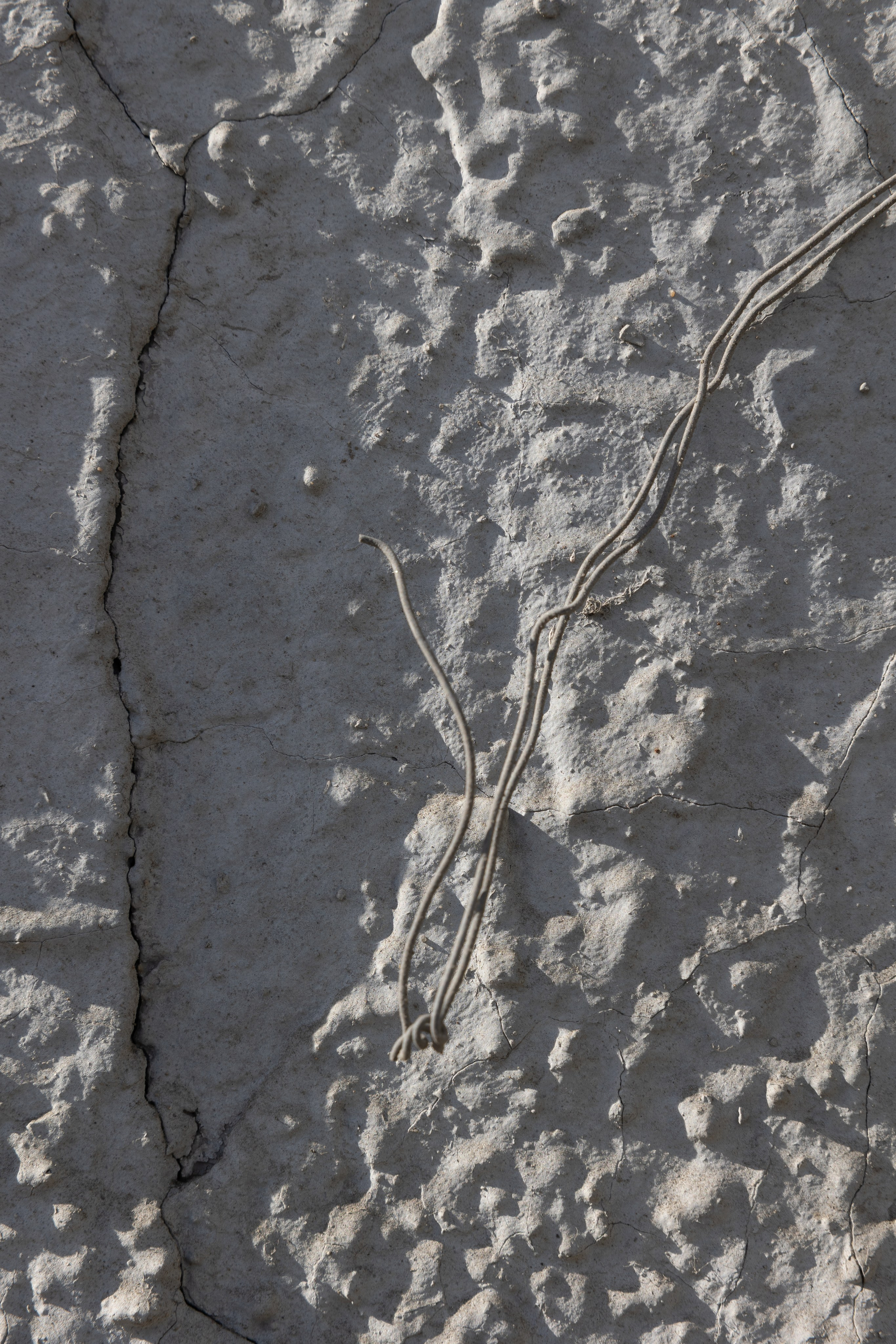 Art prints. Фотограф алина стерхова, алина стерхова фотограф, фотограф москва