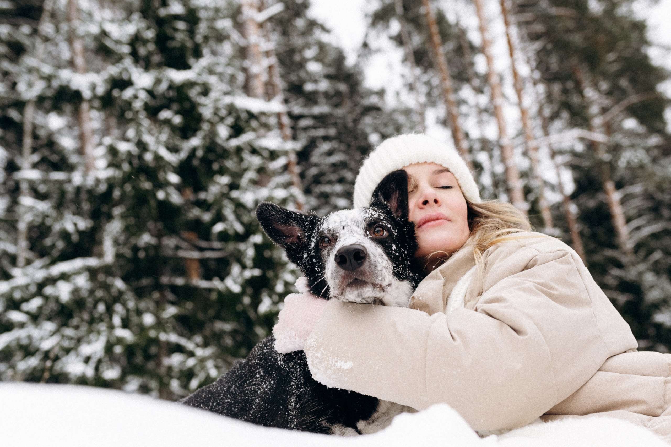 Аня и Милан. Фотограф анималист в Москве Ольга Агушева