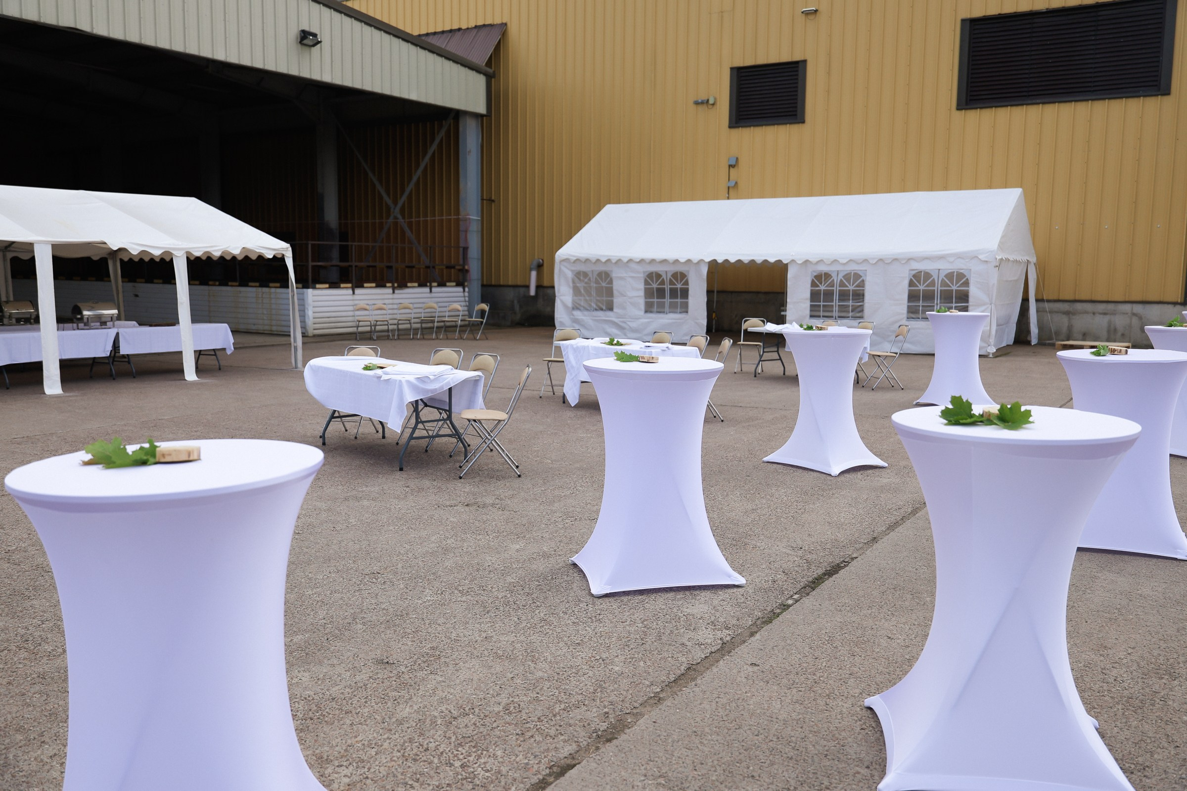 /РЕПОРТАЖ/ SC Johnson корпоративное мероприятие. Свадебный фотограф Великий Новгород Станислав Кособудский